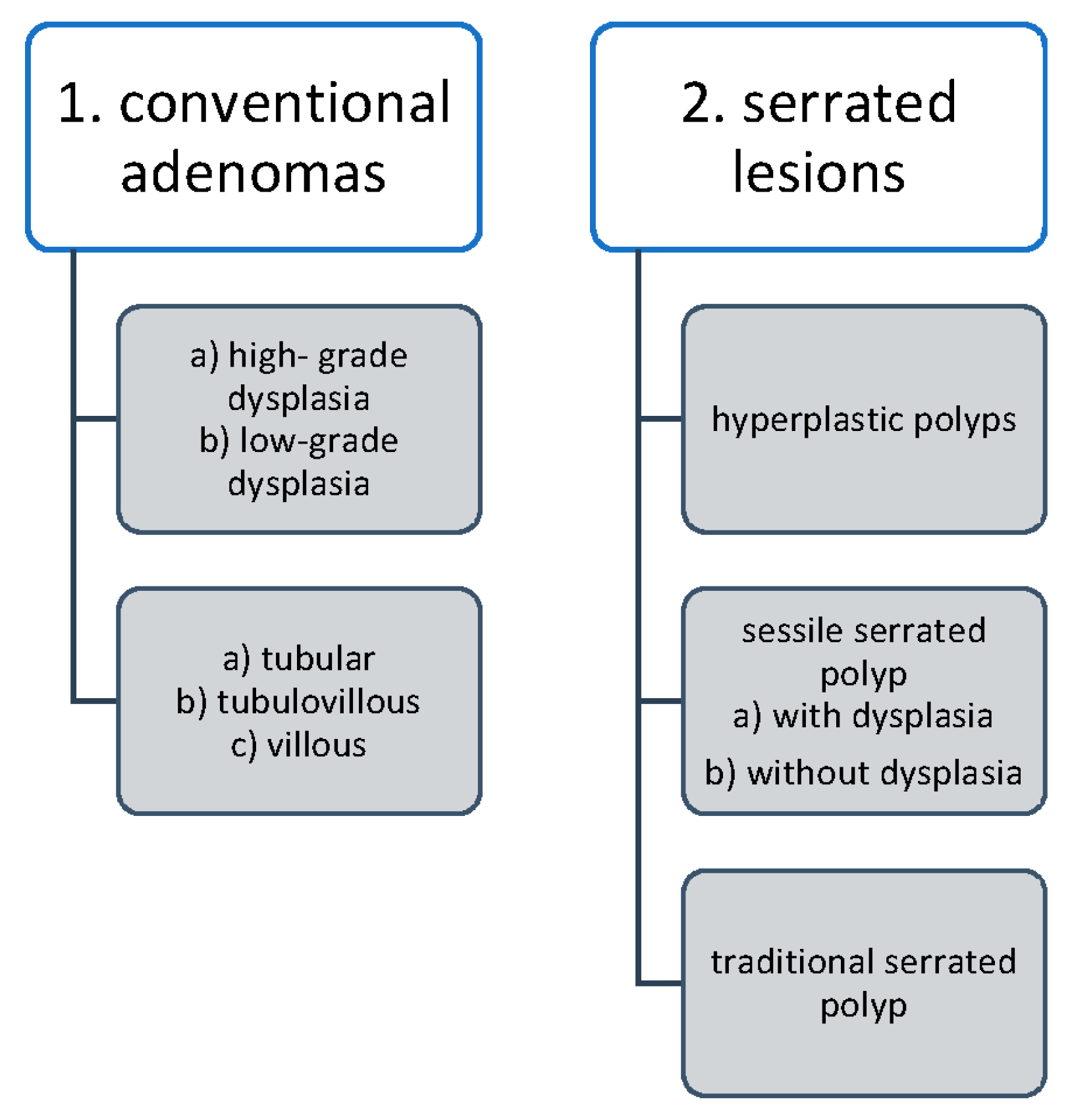 Ijms 25 02032 g001 Ijms 25 02032 g001