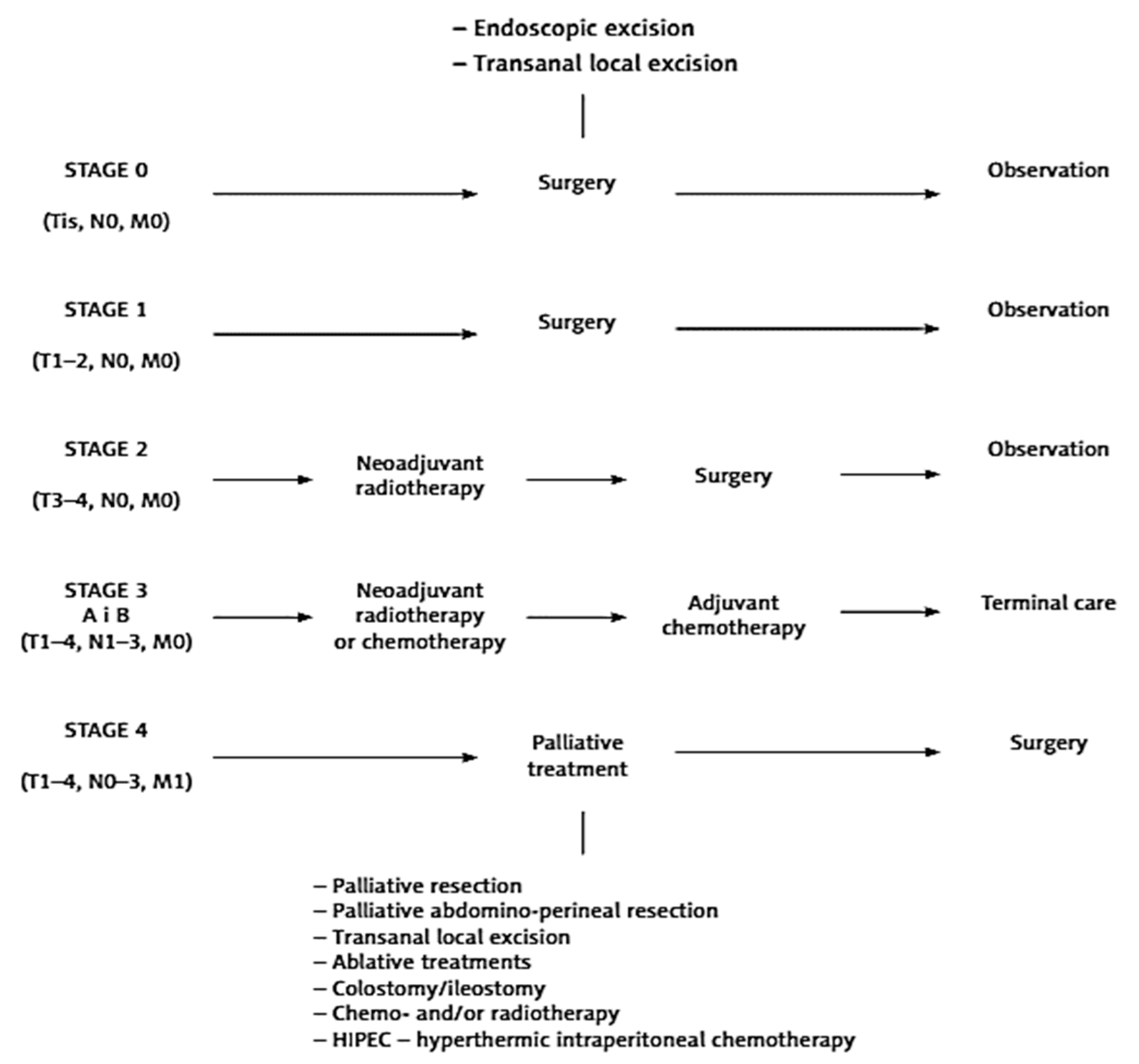Ijms 25 02032 g004 Ijms 25 02032 g004