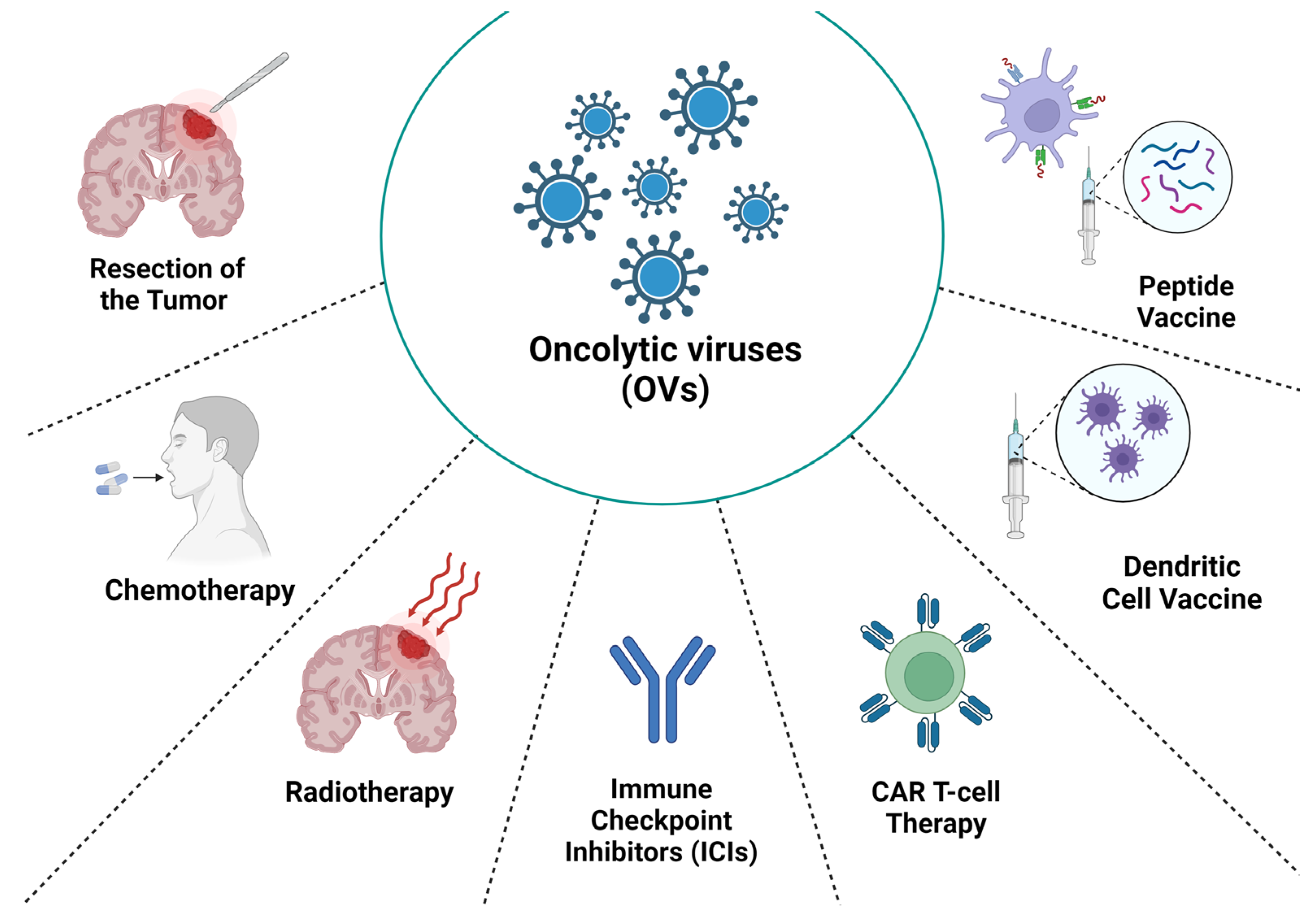 Ijms 25 02042 g002 Ijms 25 02042 g002