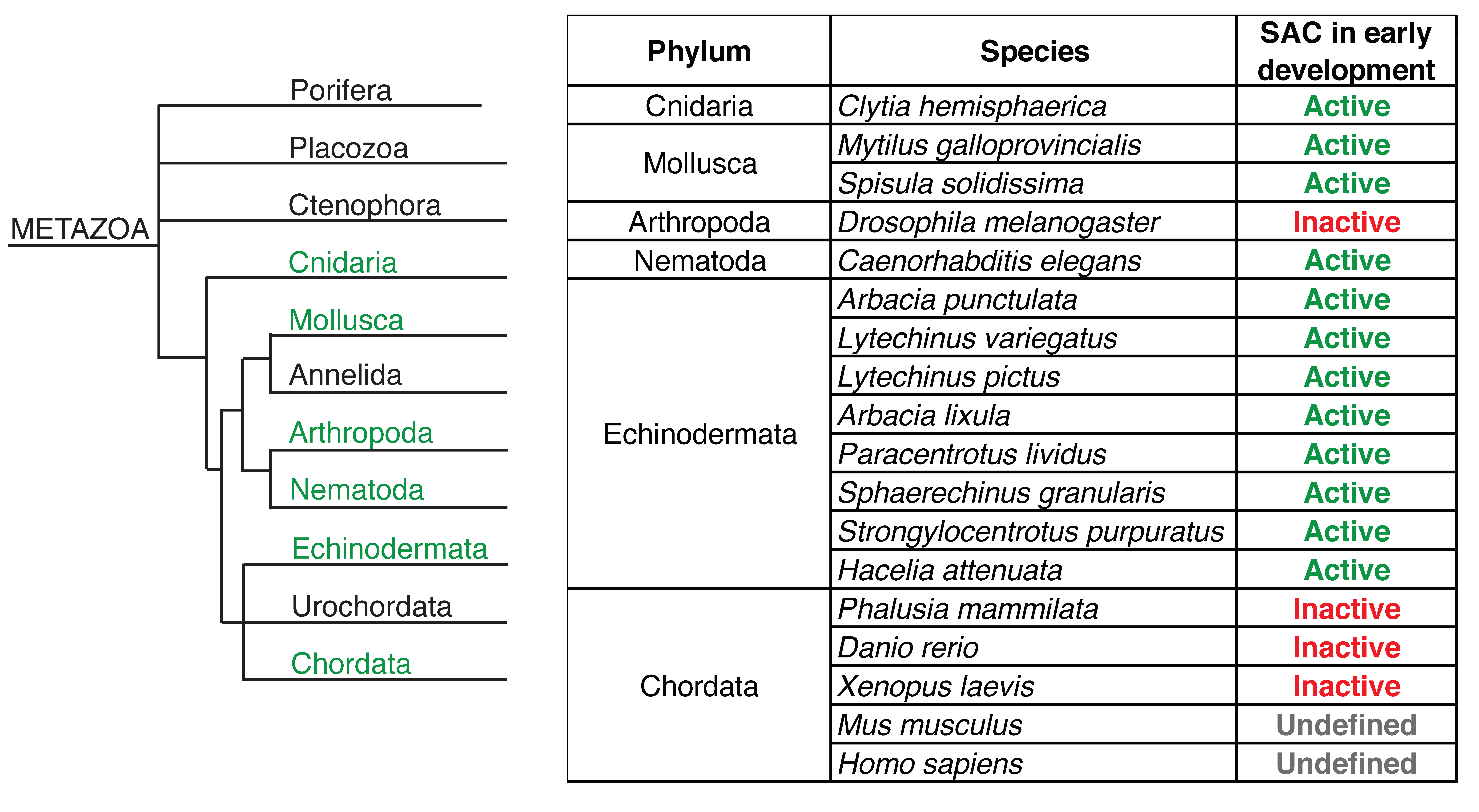 Ijms 25 02101 g002 Ijms 25 02101 g002