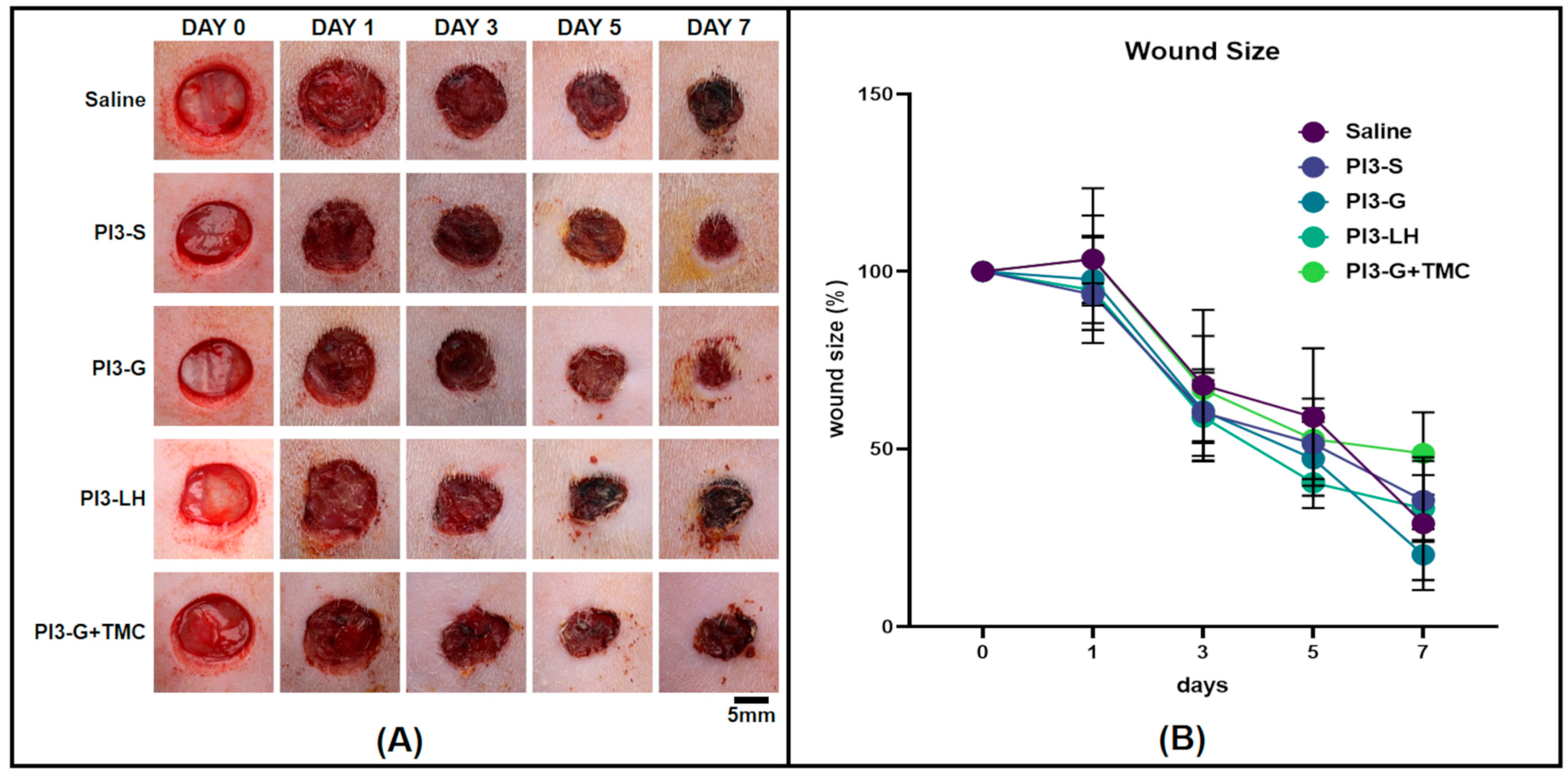 Ijms 25 02106 g003 Ijms 25 02106 g003