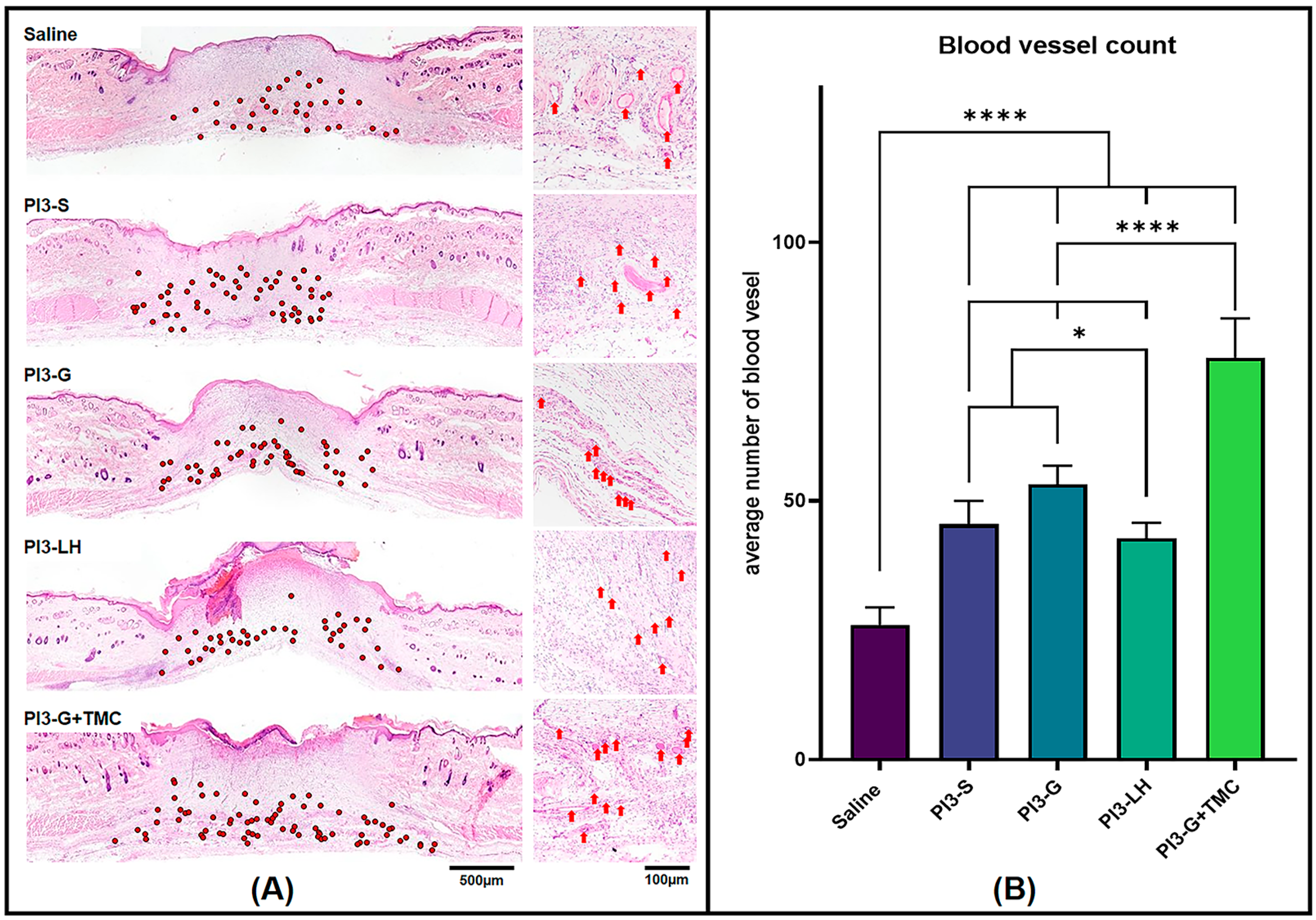 Ijms 25 02106 g004 Ijms 25 02106 g004