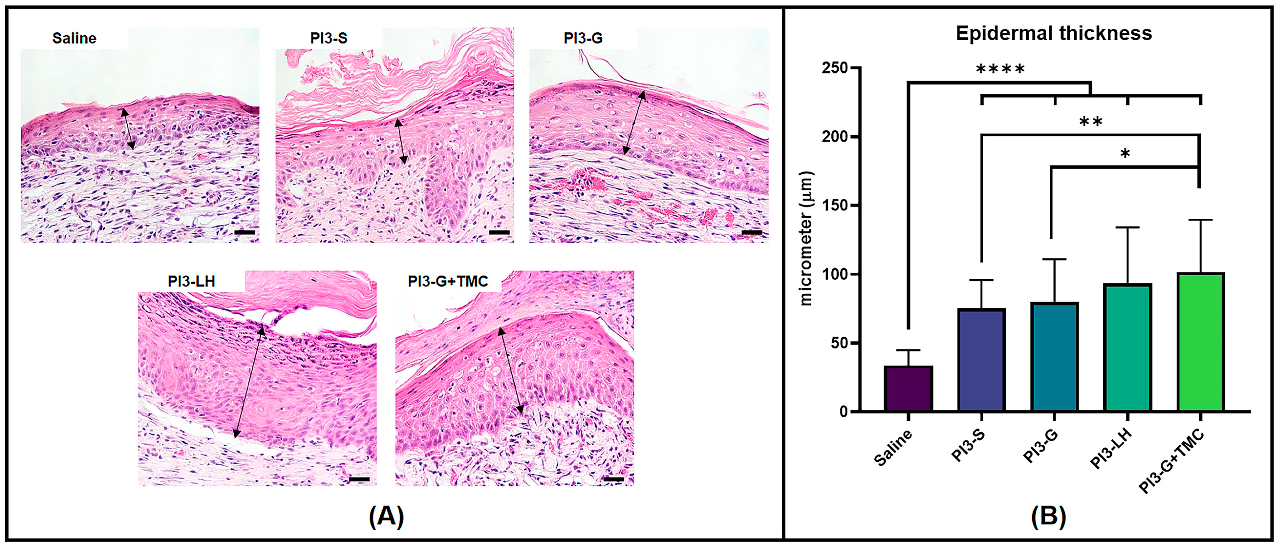 Ijms 25 02106 g006 Ijms 25 02106 g006