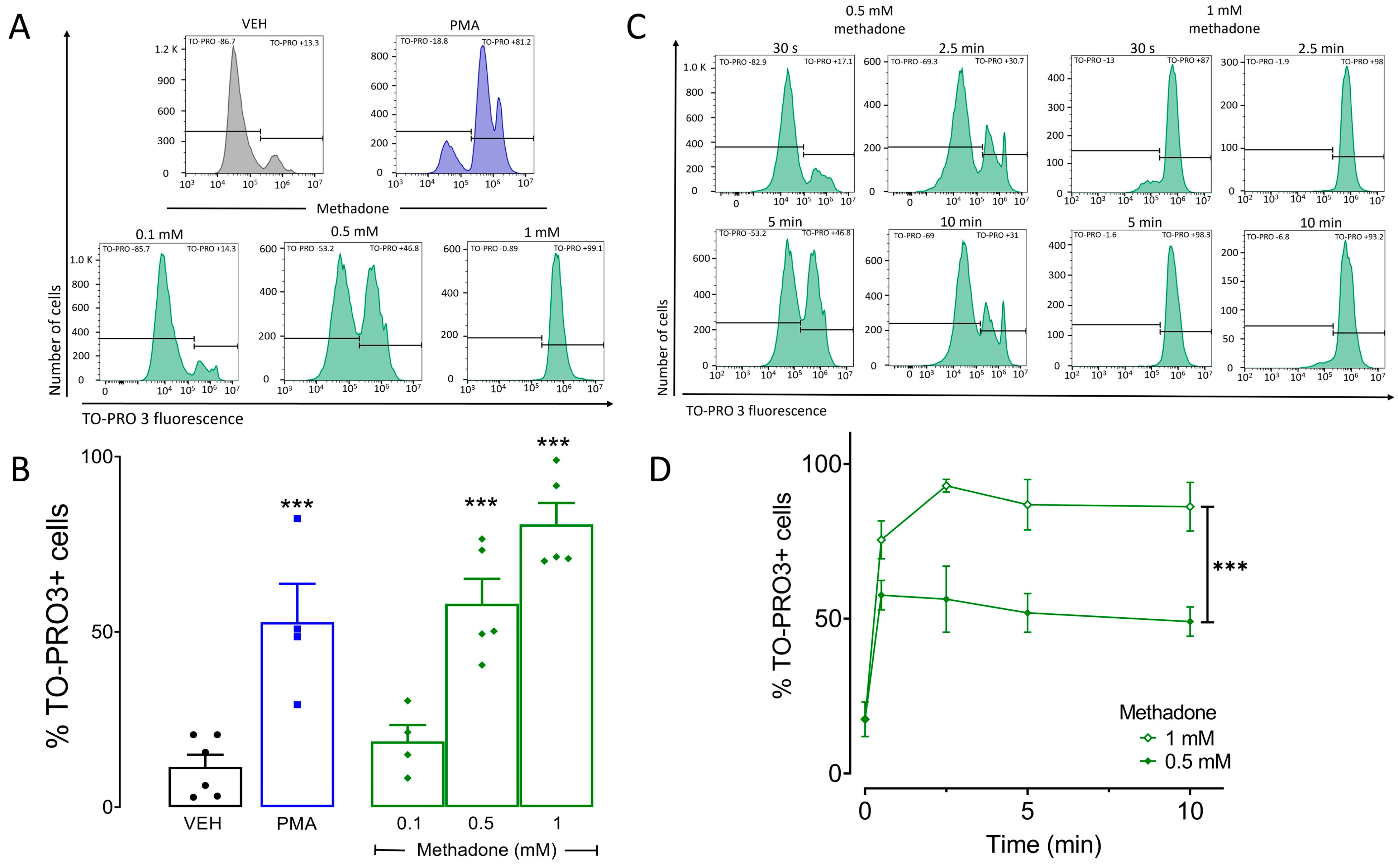 Ijms 25 02137 g001 Ijms 25 02137 g001