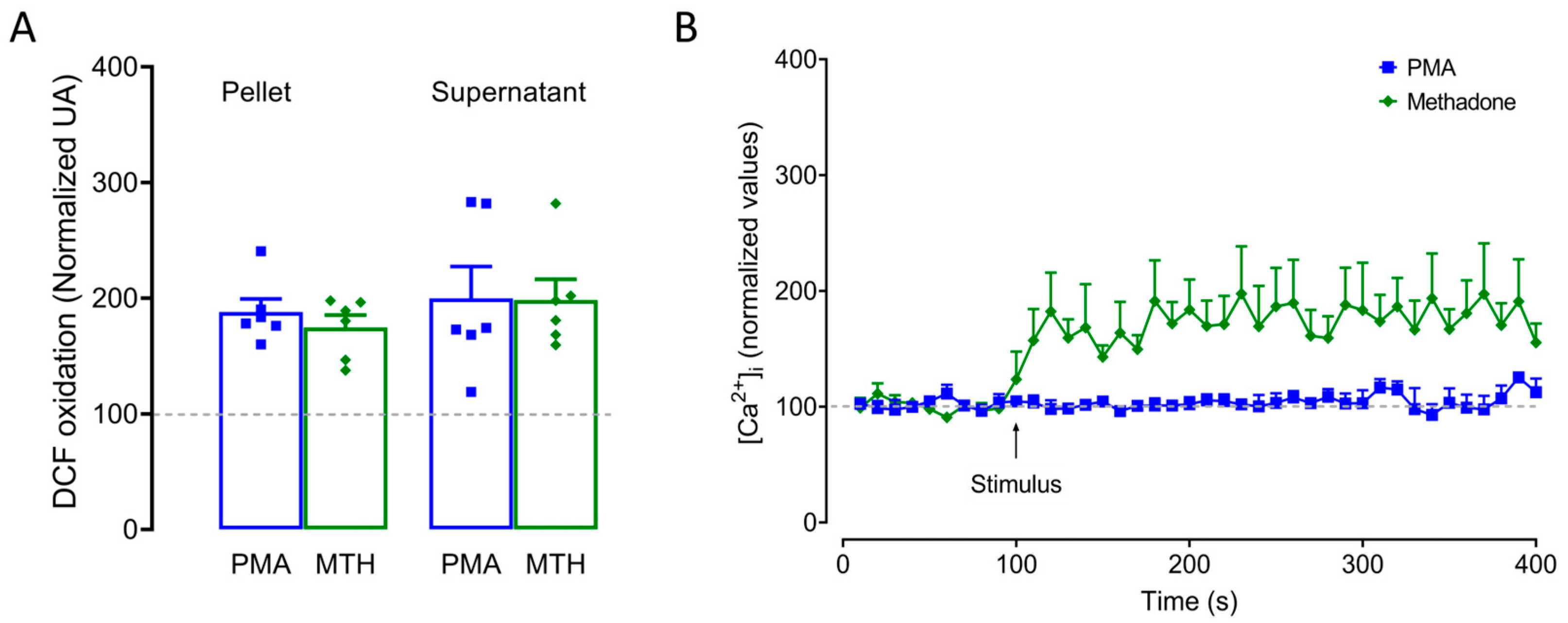 Ijms 25 02137 g004 Ijms 25 02137 g004