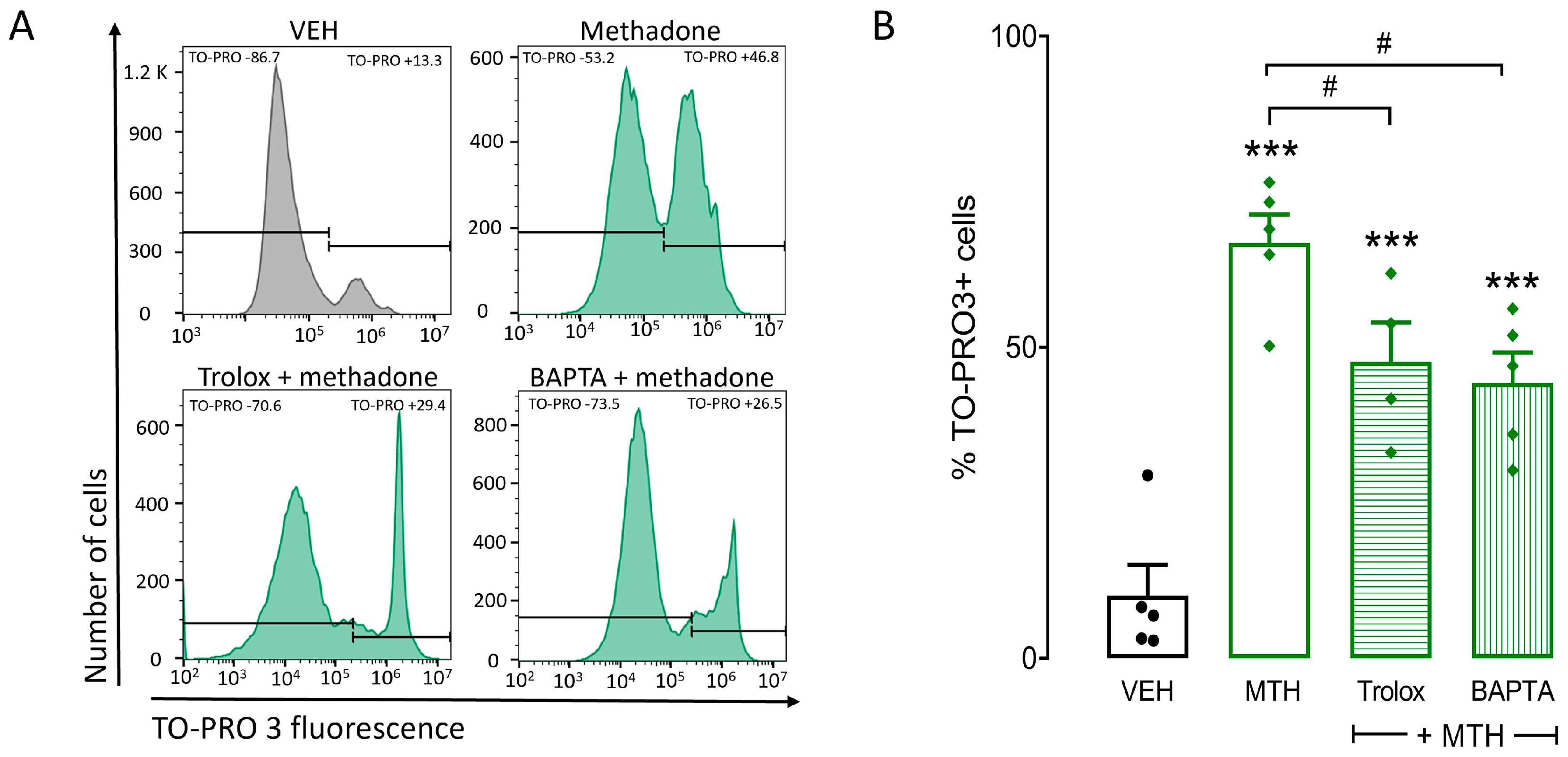 Ijms 25 02137 g005 Ijms 25 02137 g005