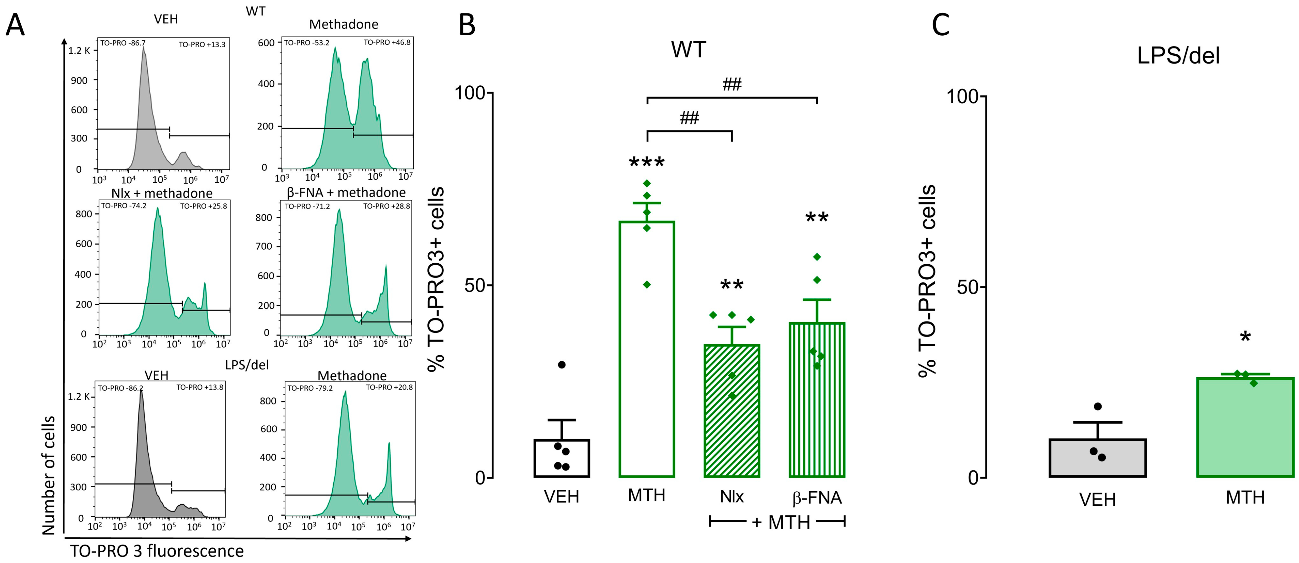 Ijms 25 02137 g006 Ijms 25 02137 g006
