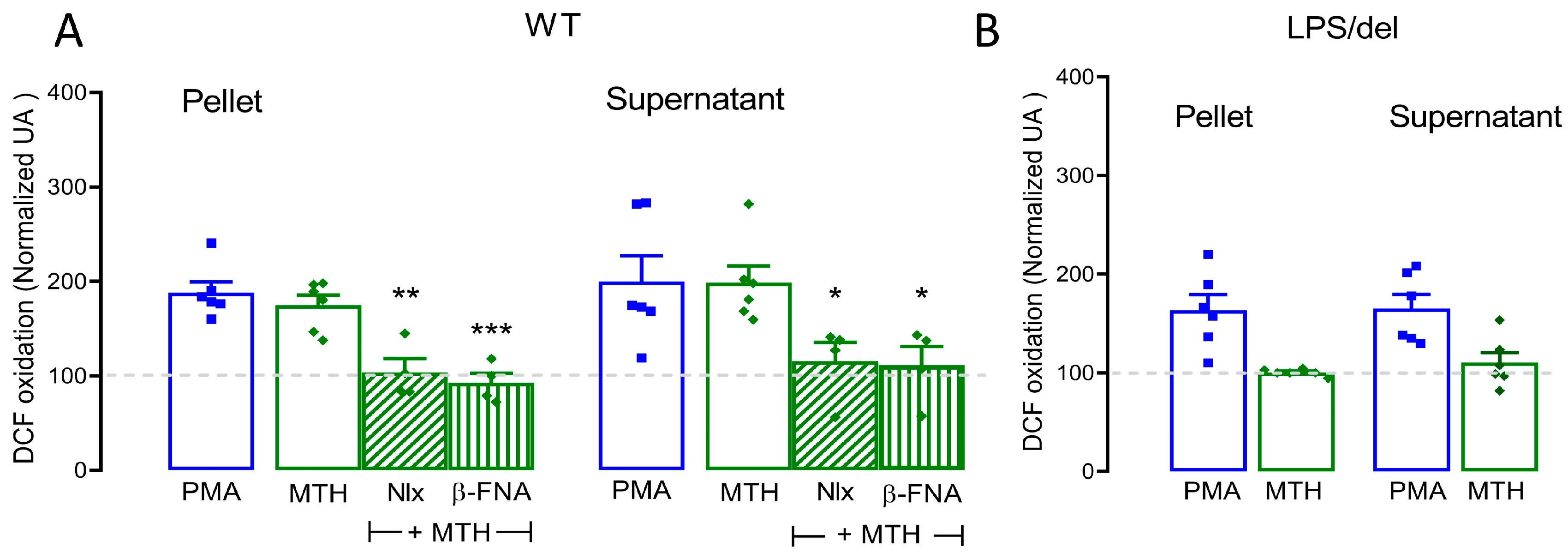 Ijms 25 02137 g007 Ijms 25 02137 g007