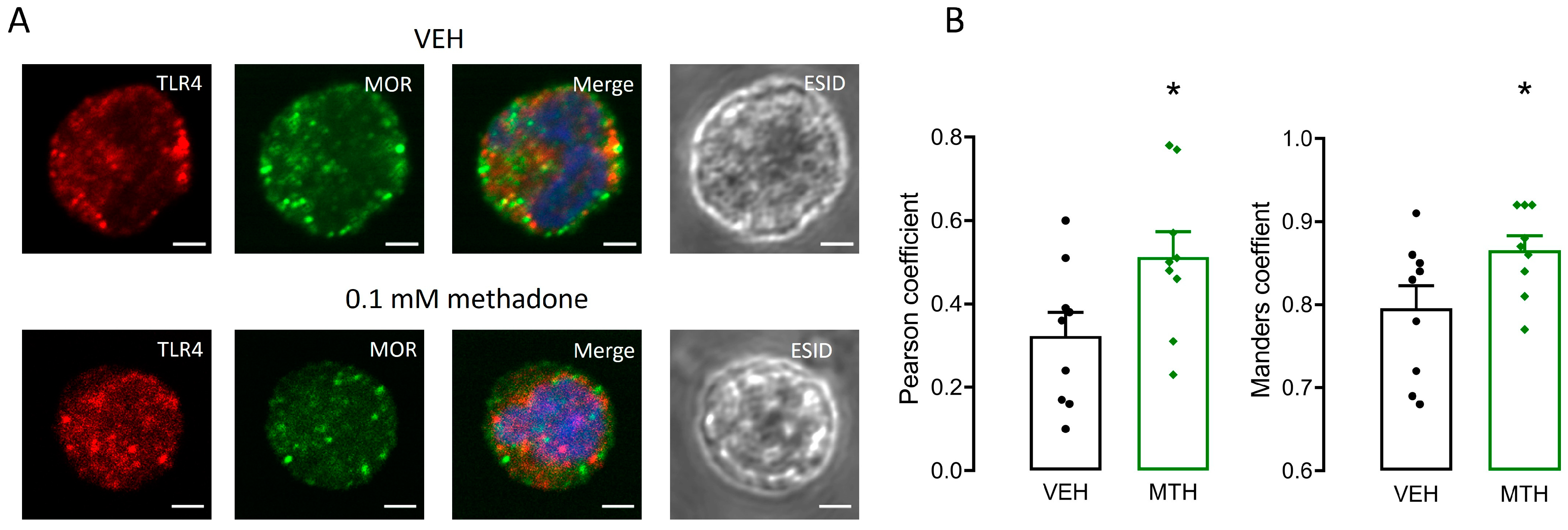 Ijms 25 02137 g009 Ijms 25 02137 g009