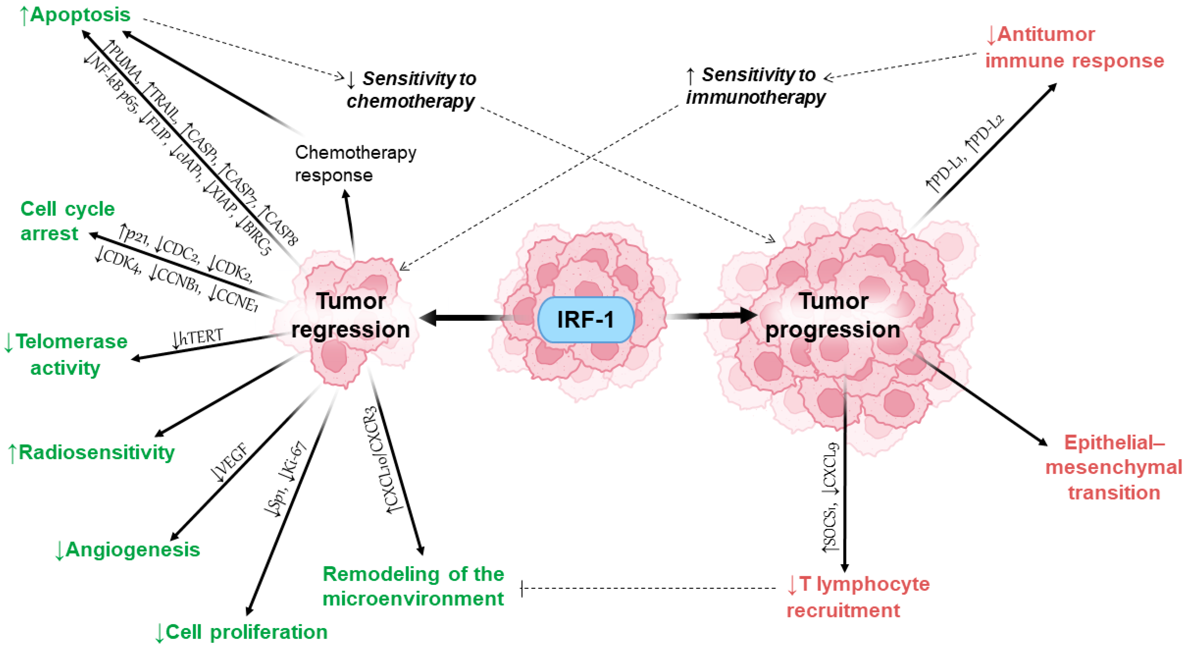 Ijms 25 02153 g001 Ijms 25 02153 g001