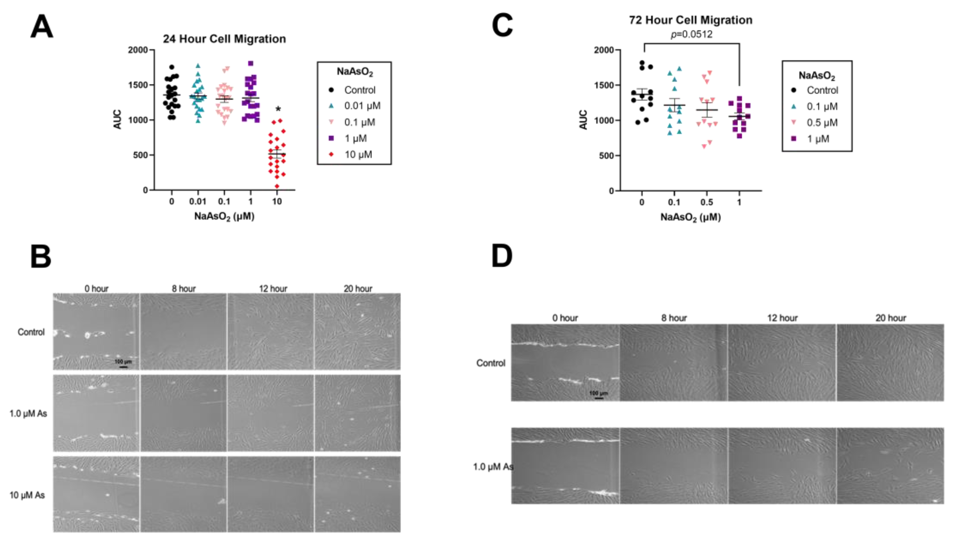 Ijms 25 02161 g001 Ijms 25 02161 g001