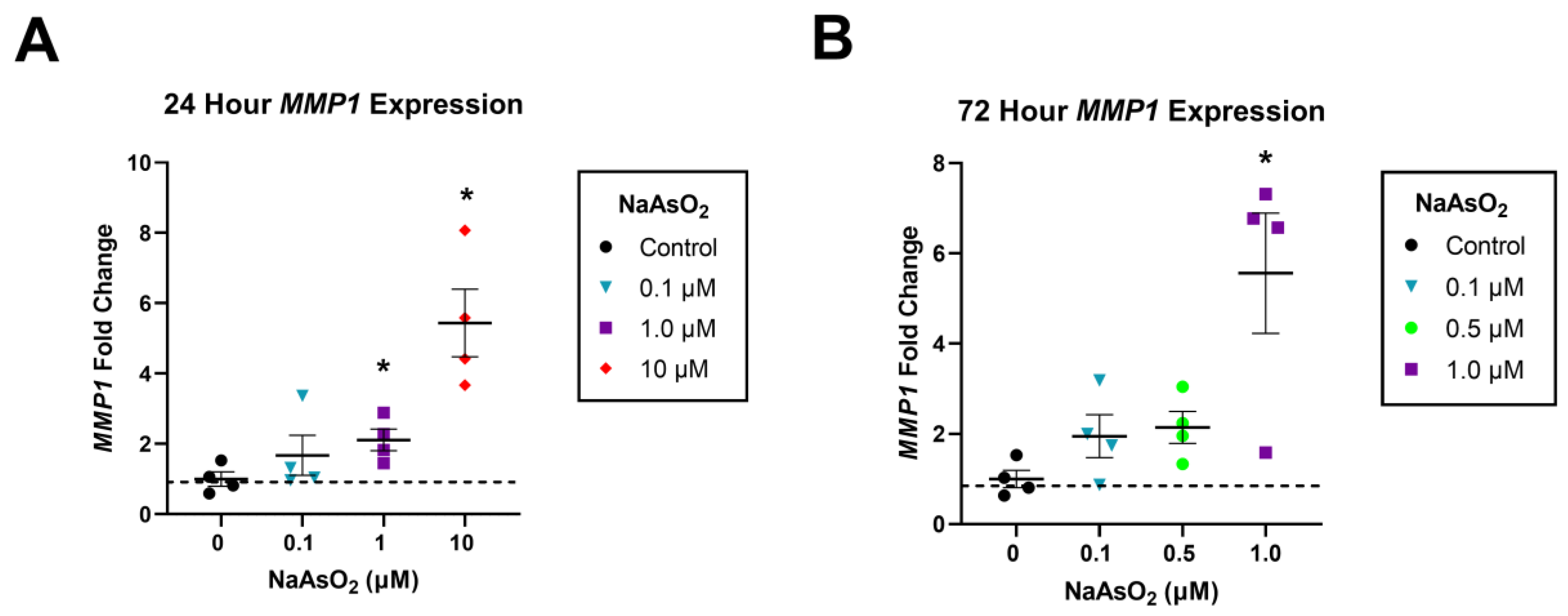 Ijms 25 02161 g002 Ijms 25 02161 g002