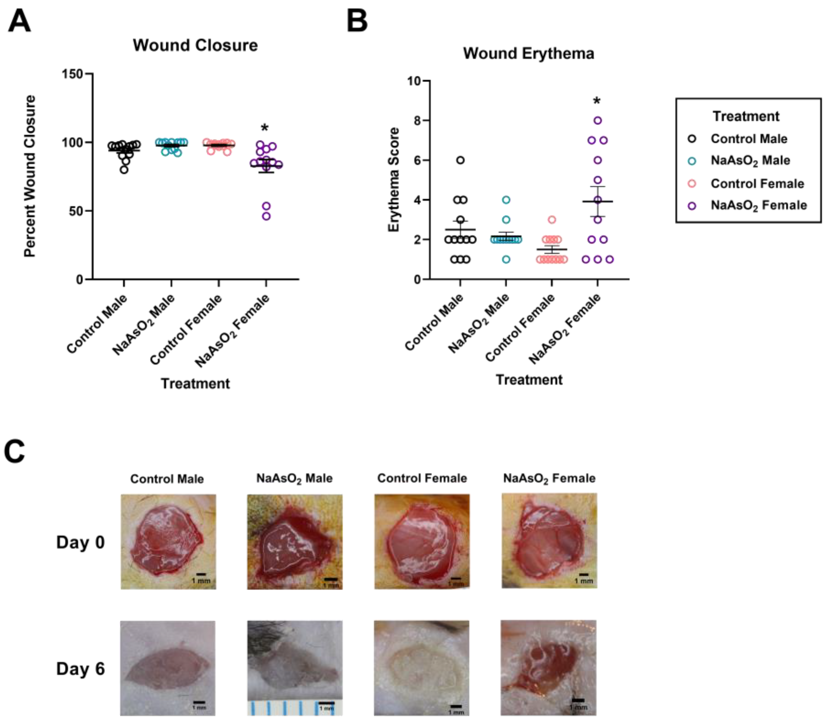 Ijms 25 02161 g005 Ijms 25 02161 g005