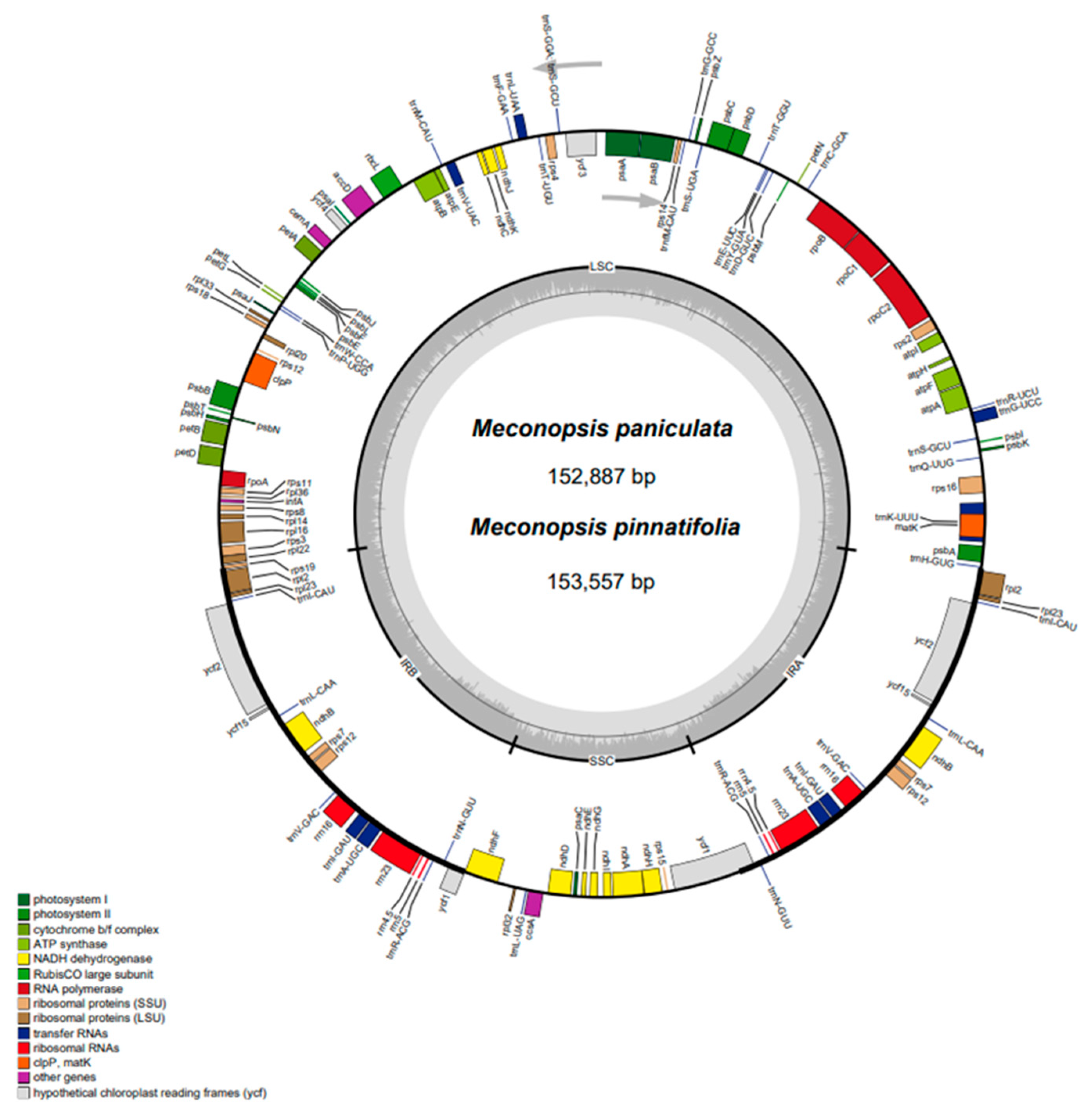 Ijms 25 02193 g001 Ijms 25 02193 g001