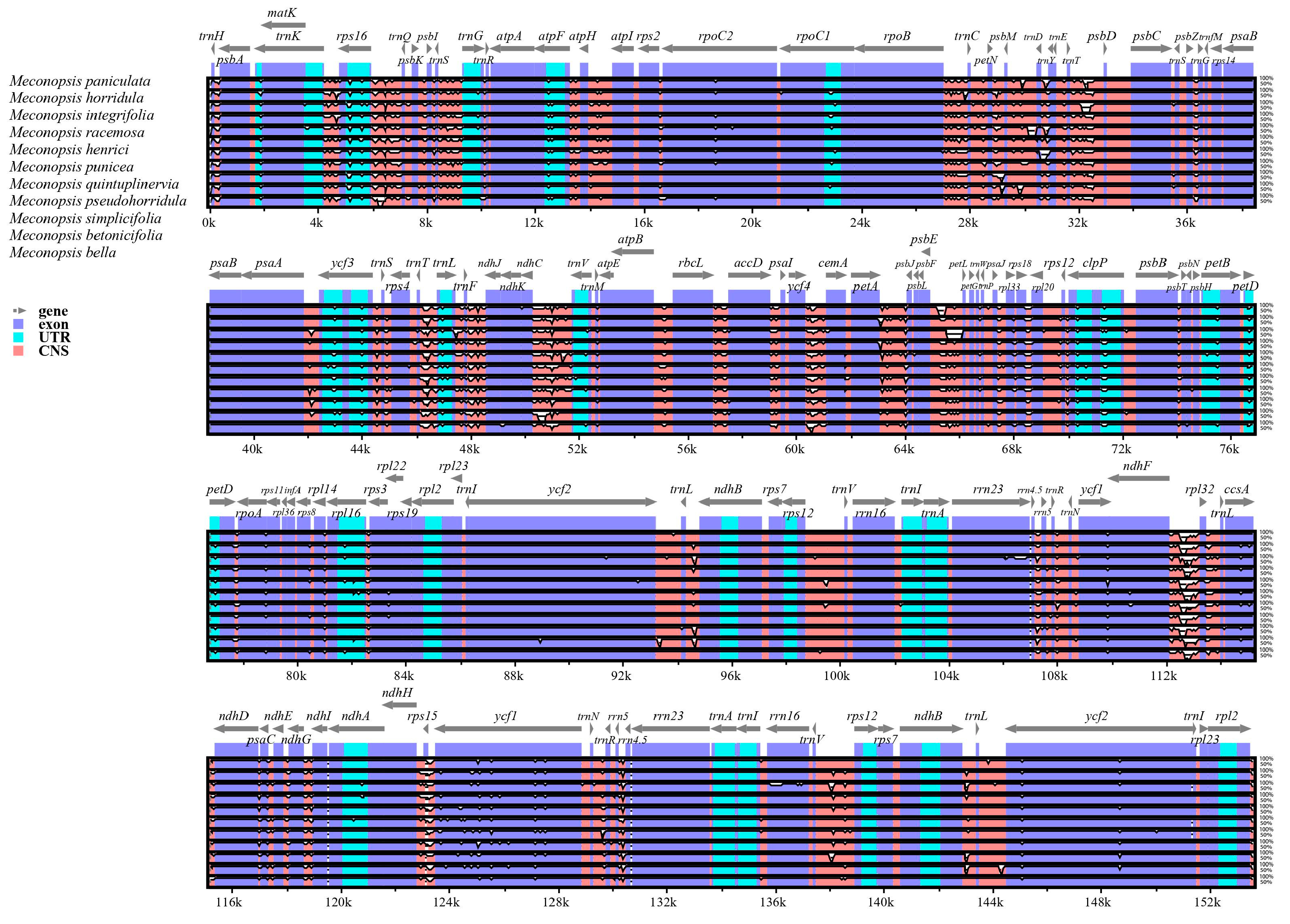 Ijms 25 02193 g003 Ijms 25 02193 g003