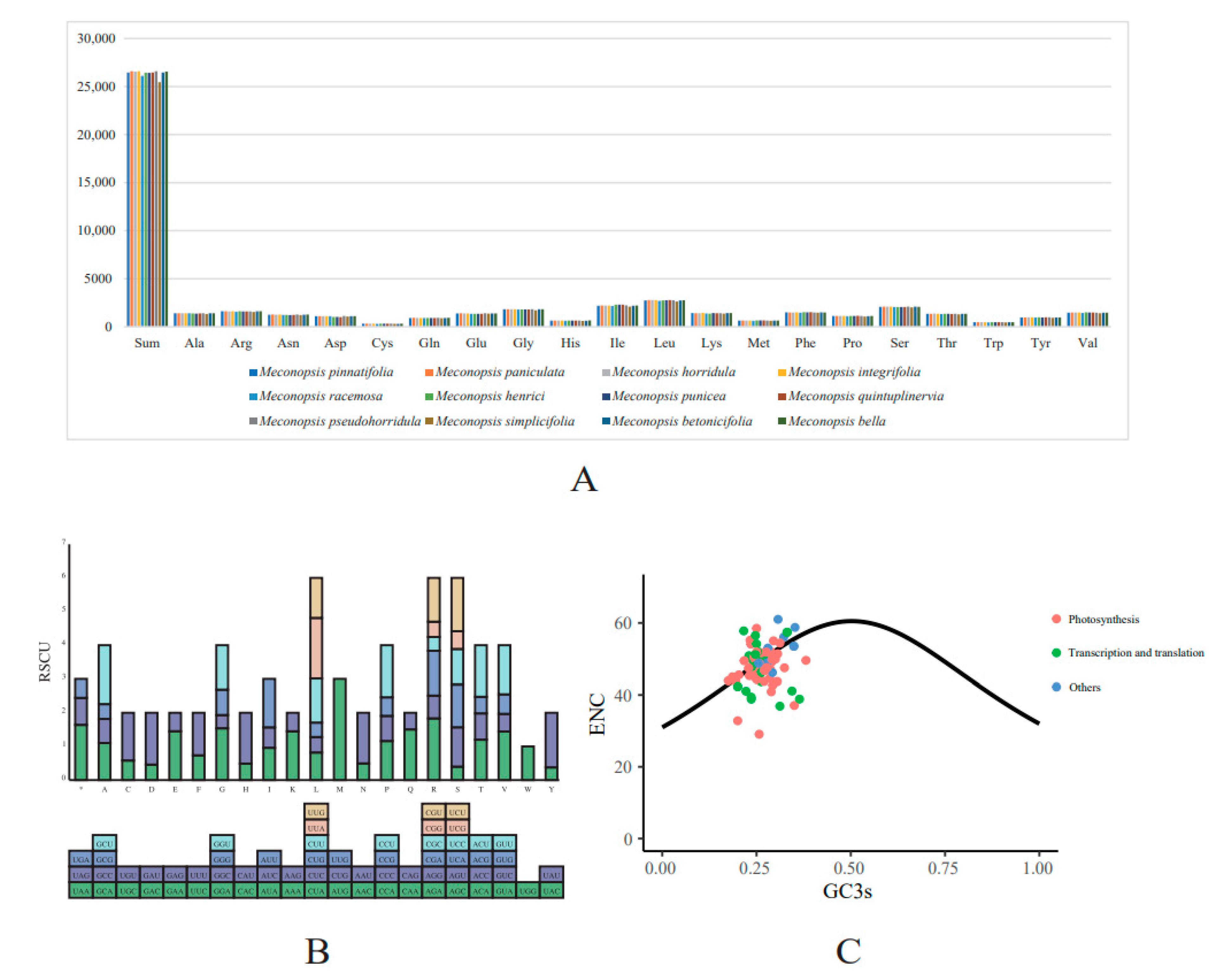 Ijms 25 02193 g005 Ijms 25 02193 g005