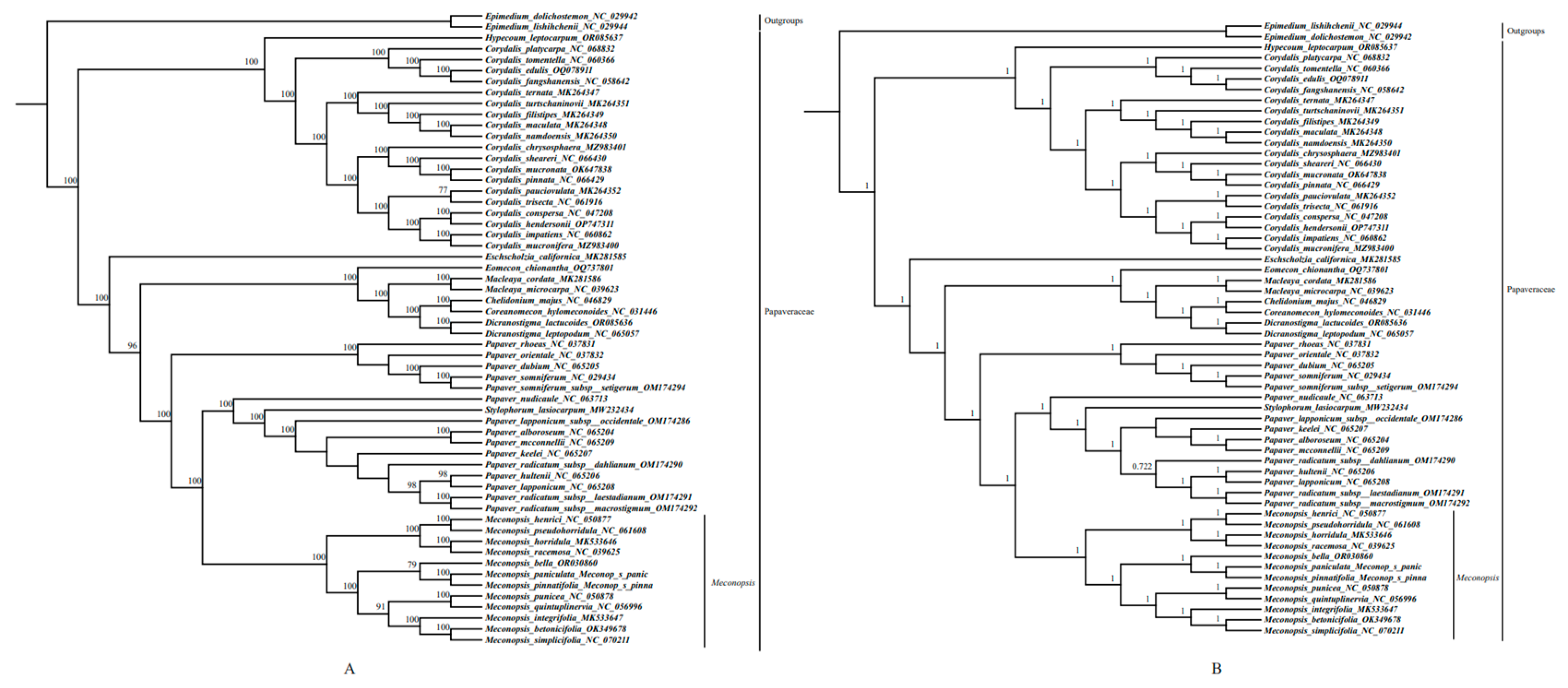 Ijms 25 02193 g007 Ijms 25 02193 g007
