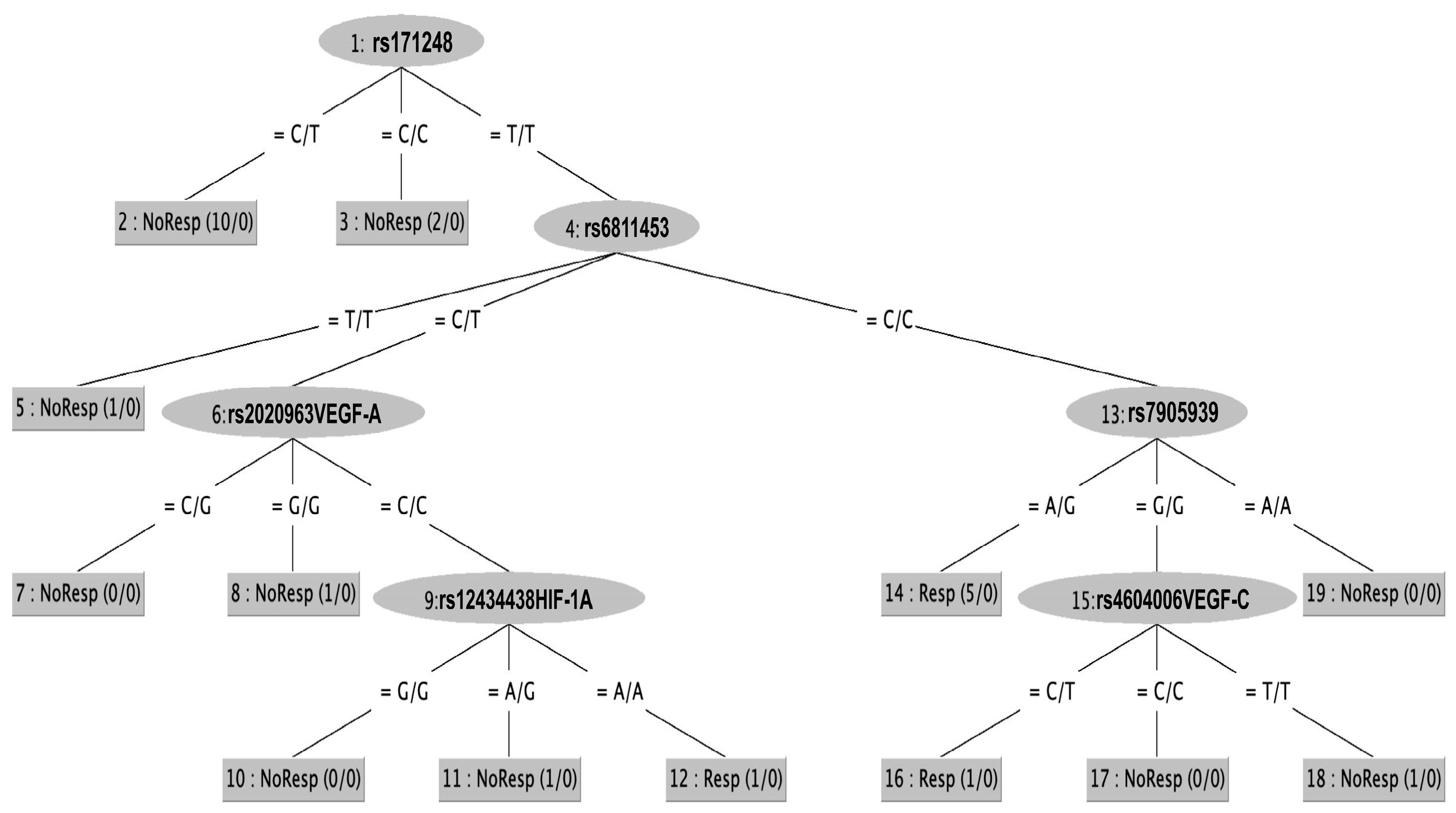 Ijms 25 02197 g001