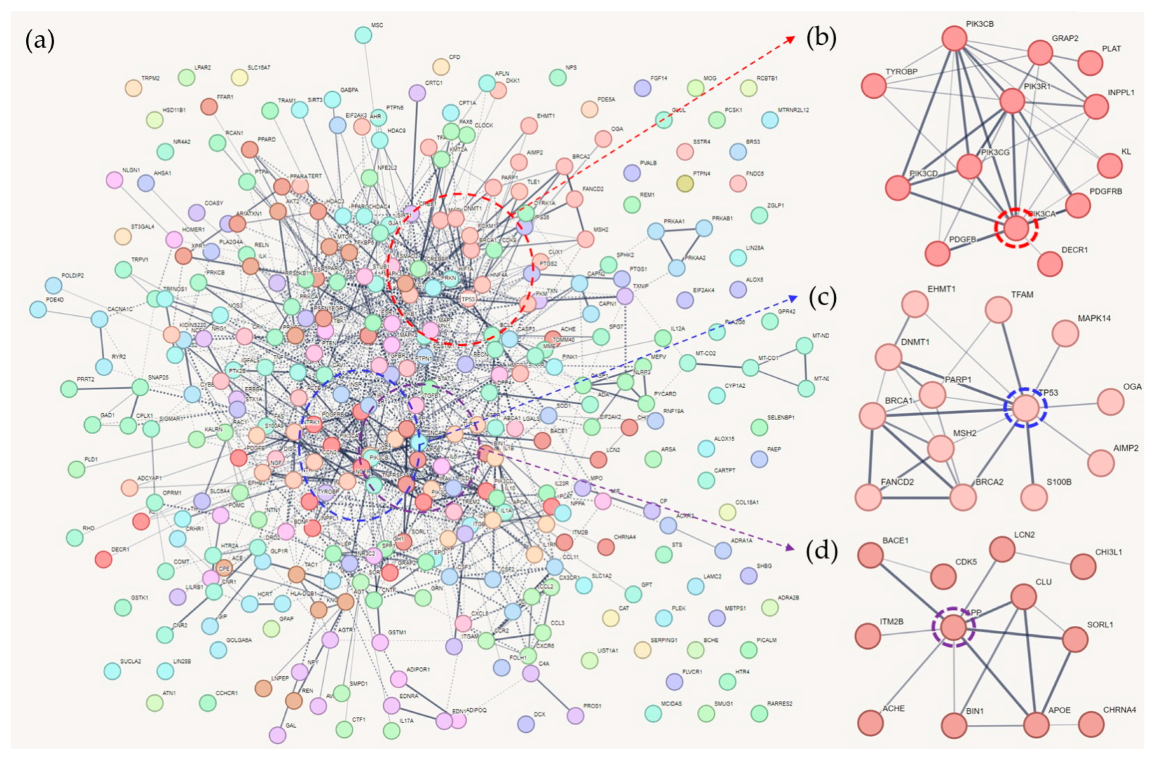 Ijms 25 02211 g001 Ijms 25 02211 g001