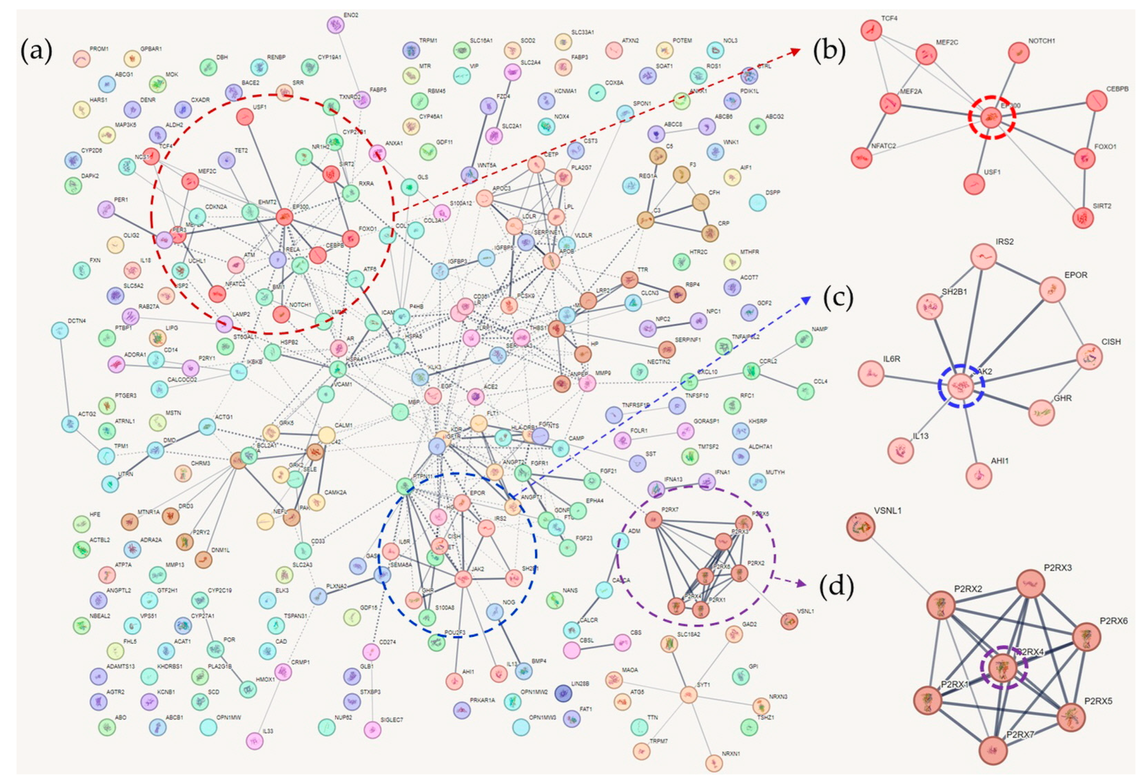 Ijms 25 02211 g002 Ijms 25 02211 g002