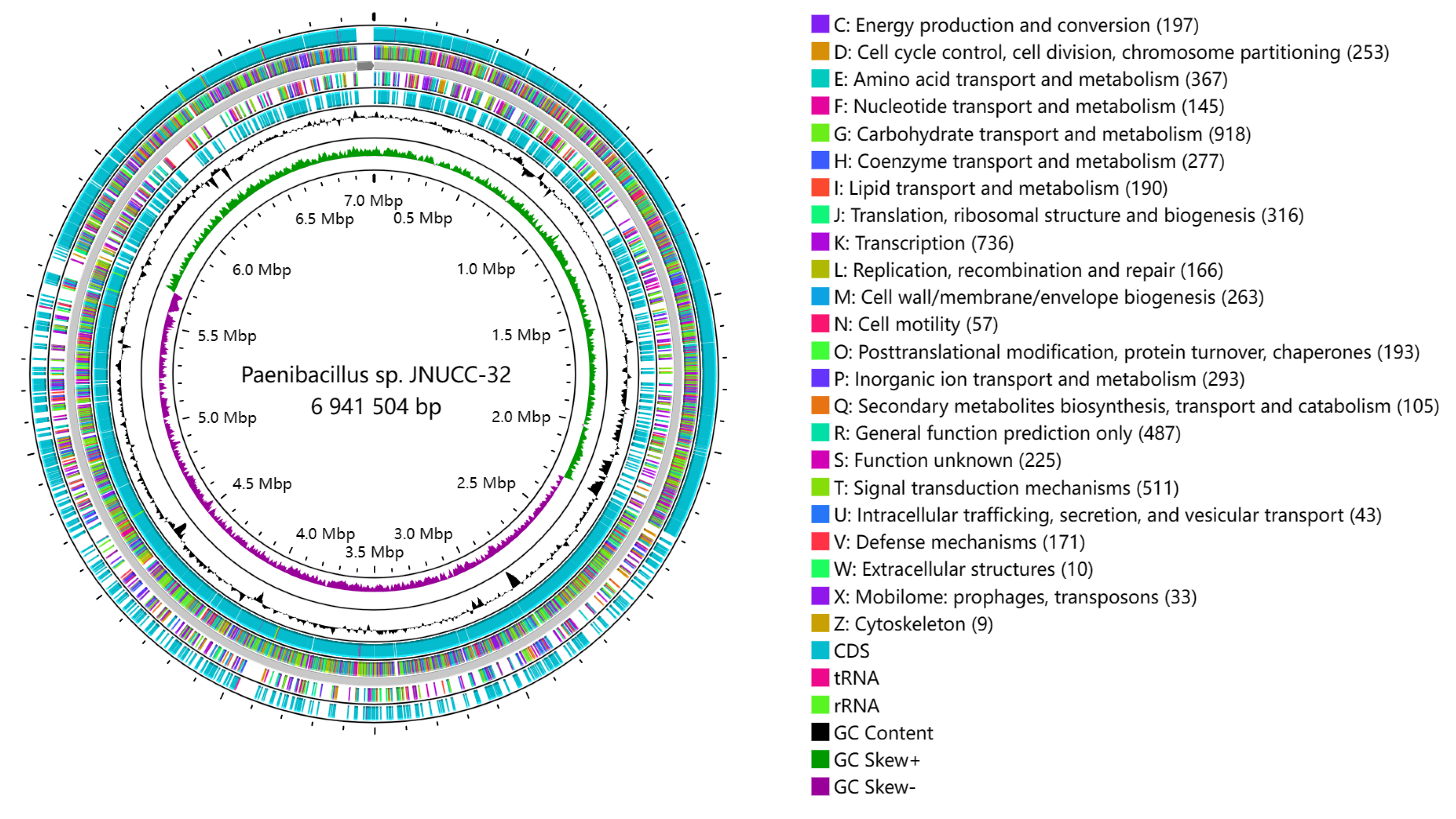 Ijms 25 02213 g001 Ijms 25 02213 g001