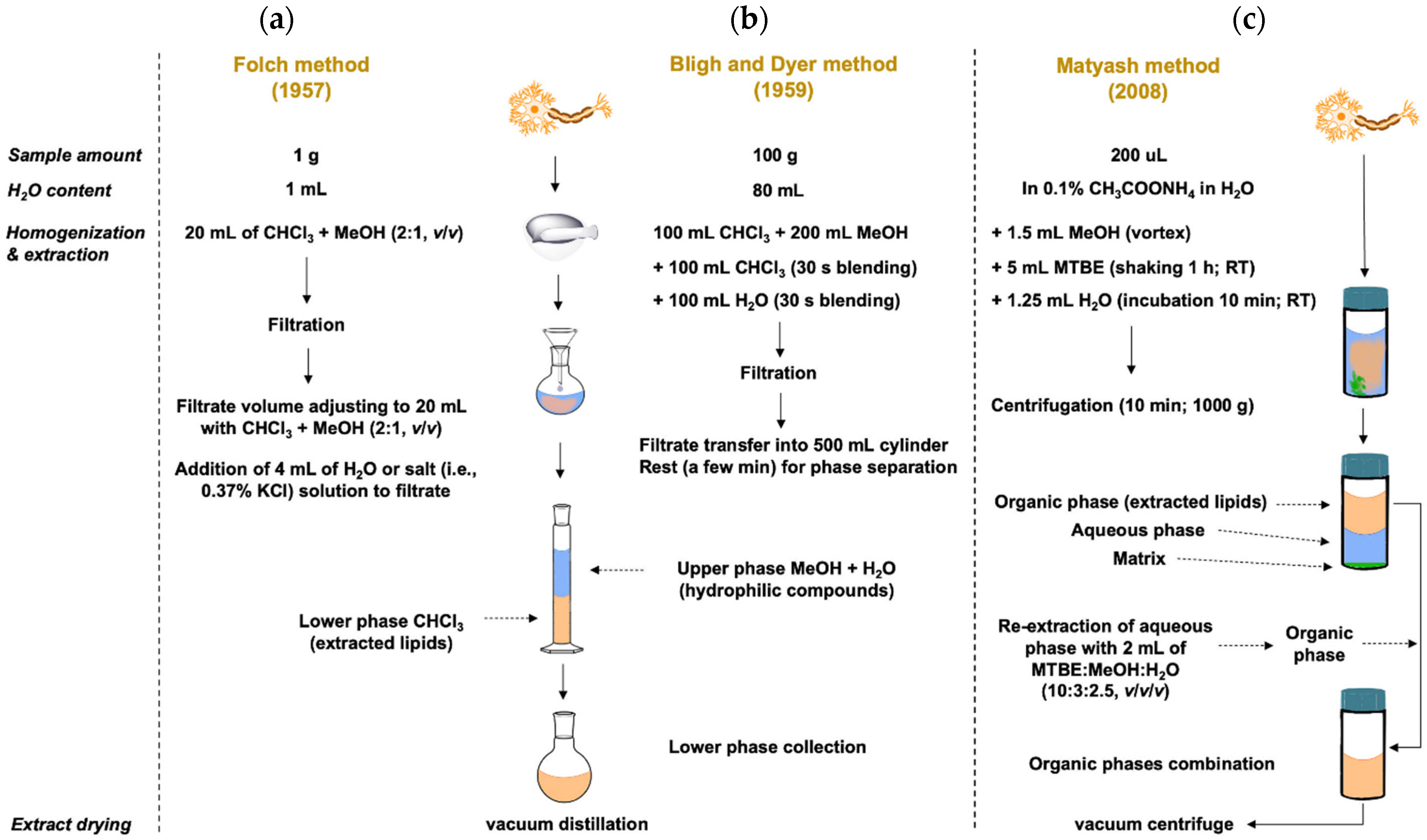 Ijms 25 02249 g001 Ijms 25 02249 g001