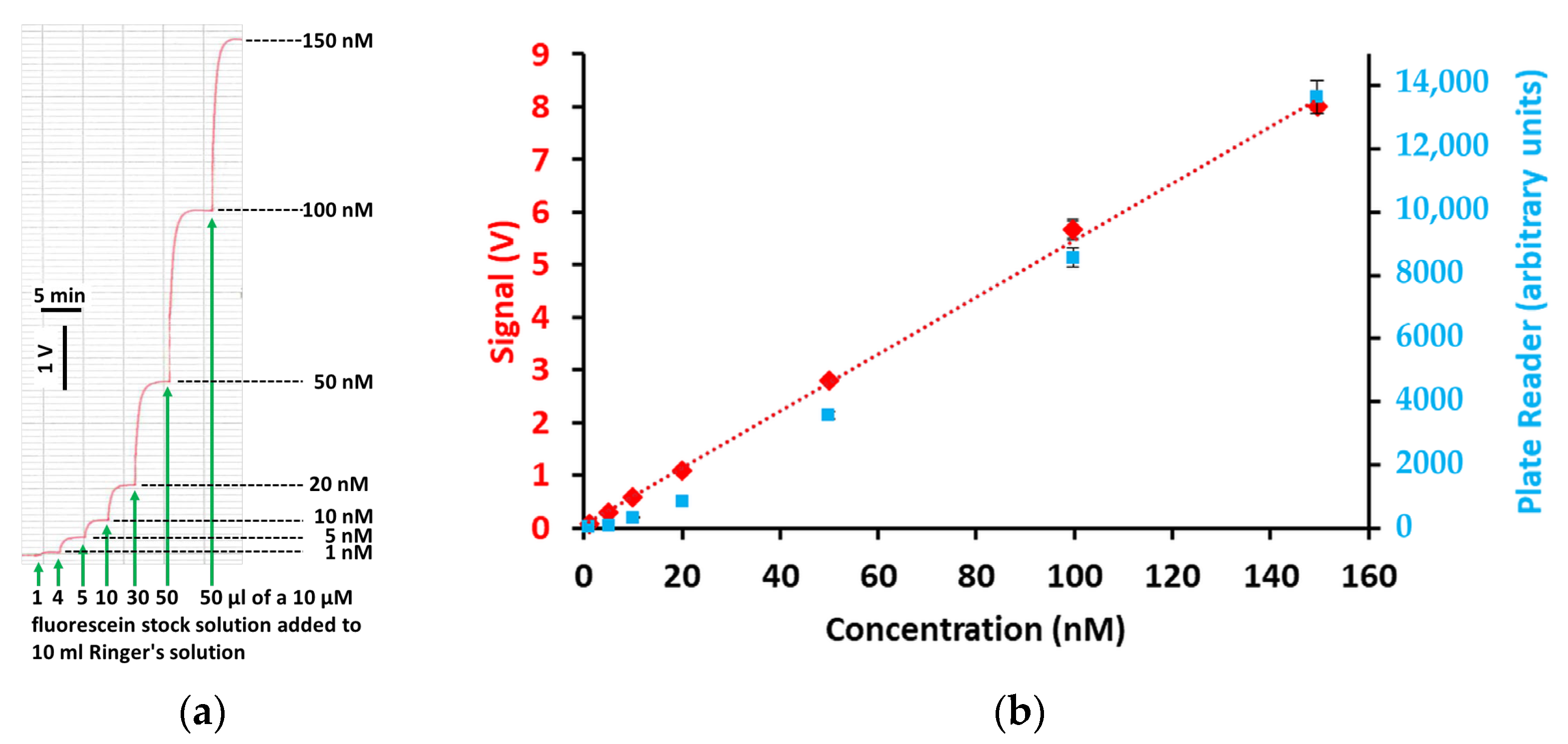 Ijms 25 02252 g001 Ijms 25 02252 g001