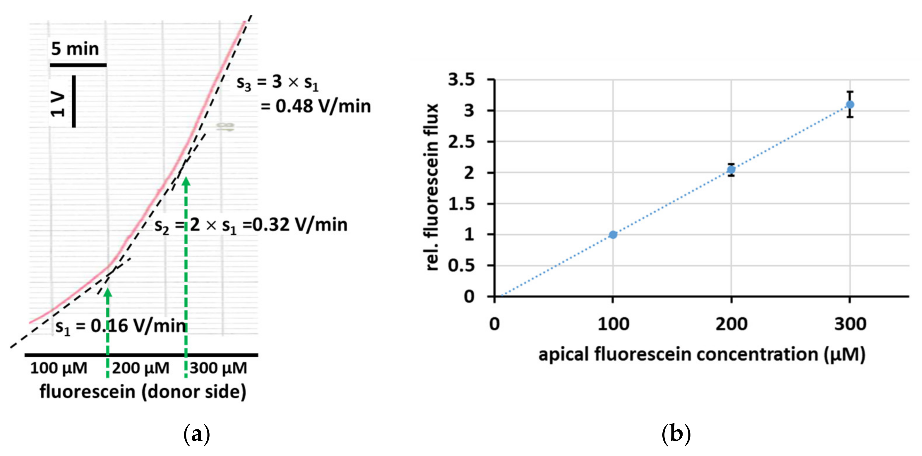 Ijms 25 02252 g002 Ijms 25 02252 g002