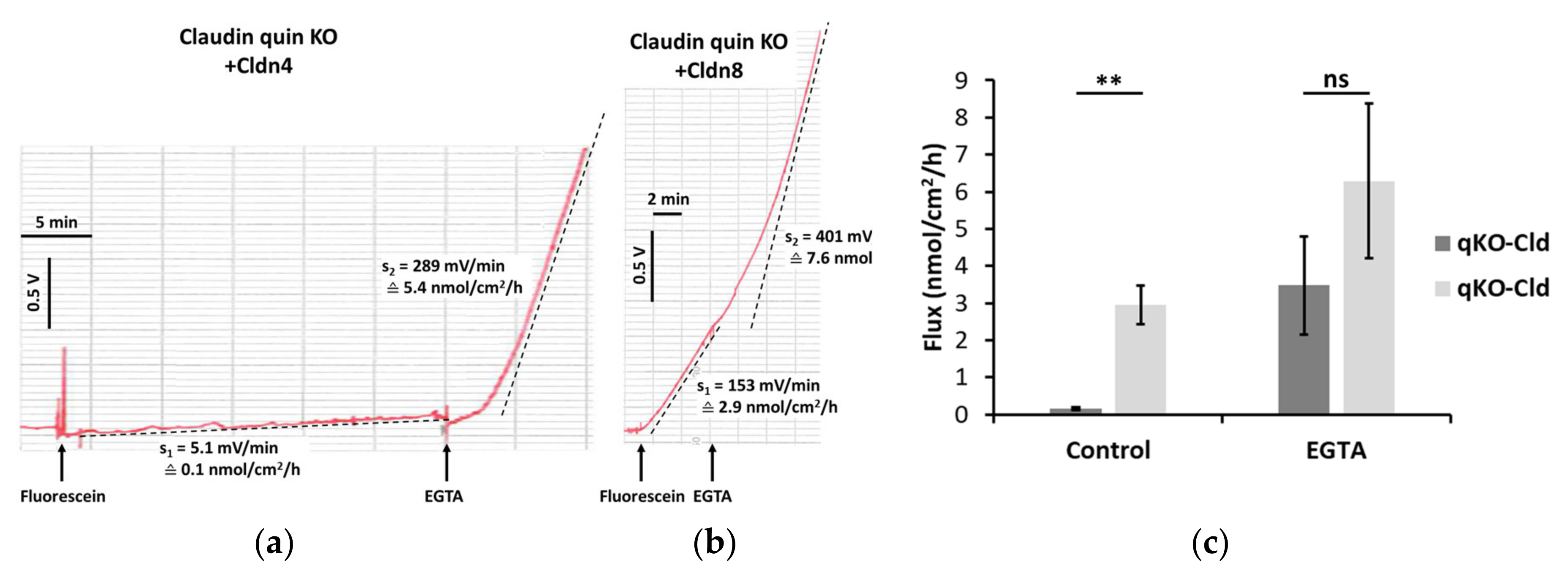 Ijms 25 02252 g003 Ijms 25 02252 g003