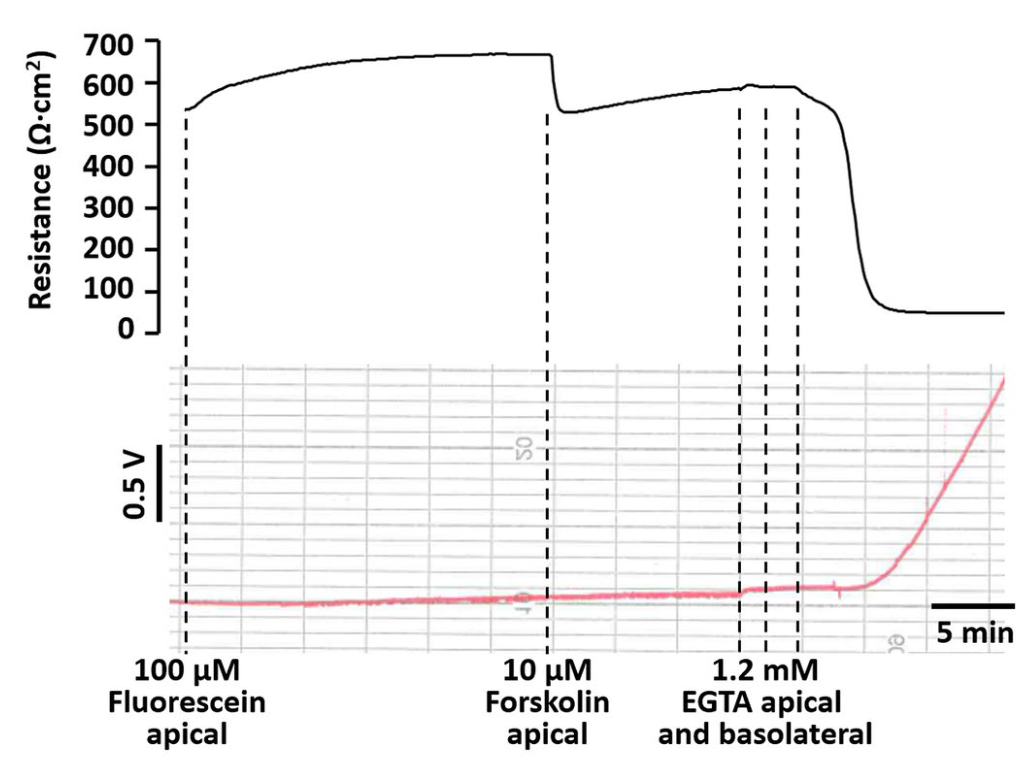 Ijms 25 02252 g004 Ijms 25 02252 g004
