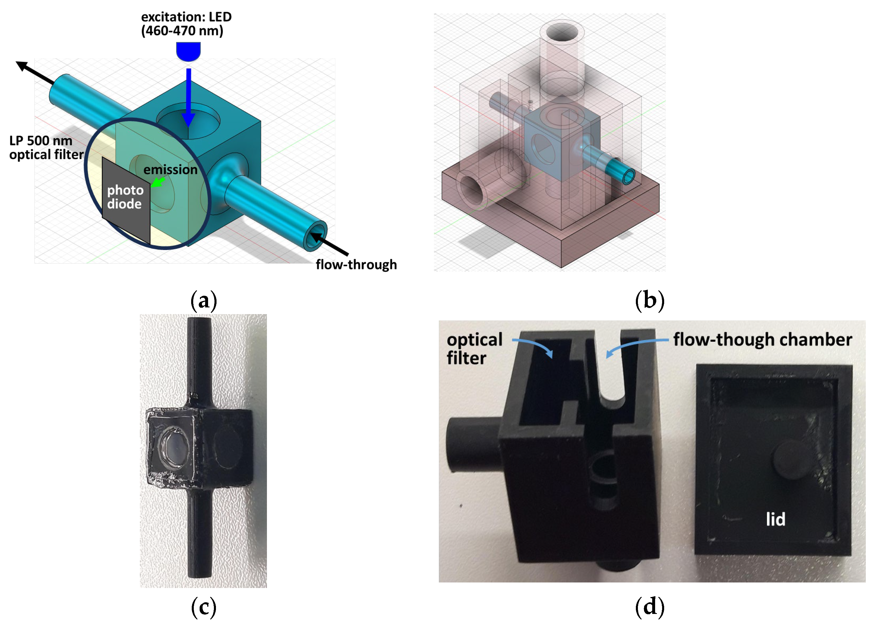Ijms 25 02252 g006 Ijms 25 02252 g006