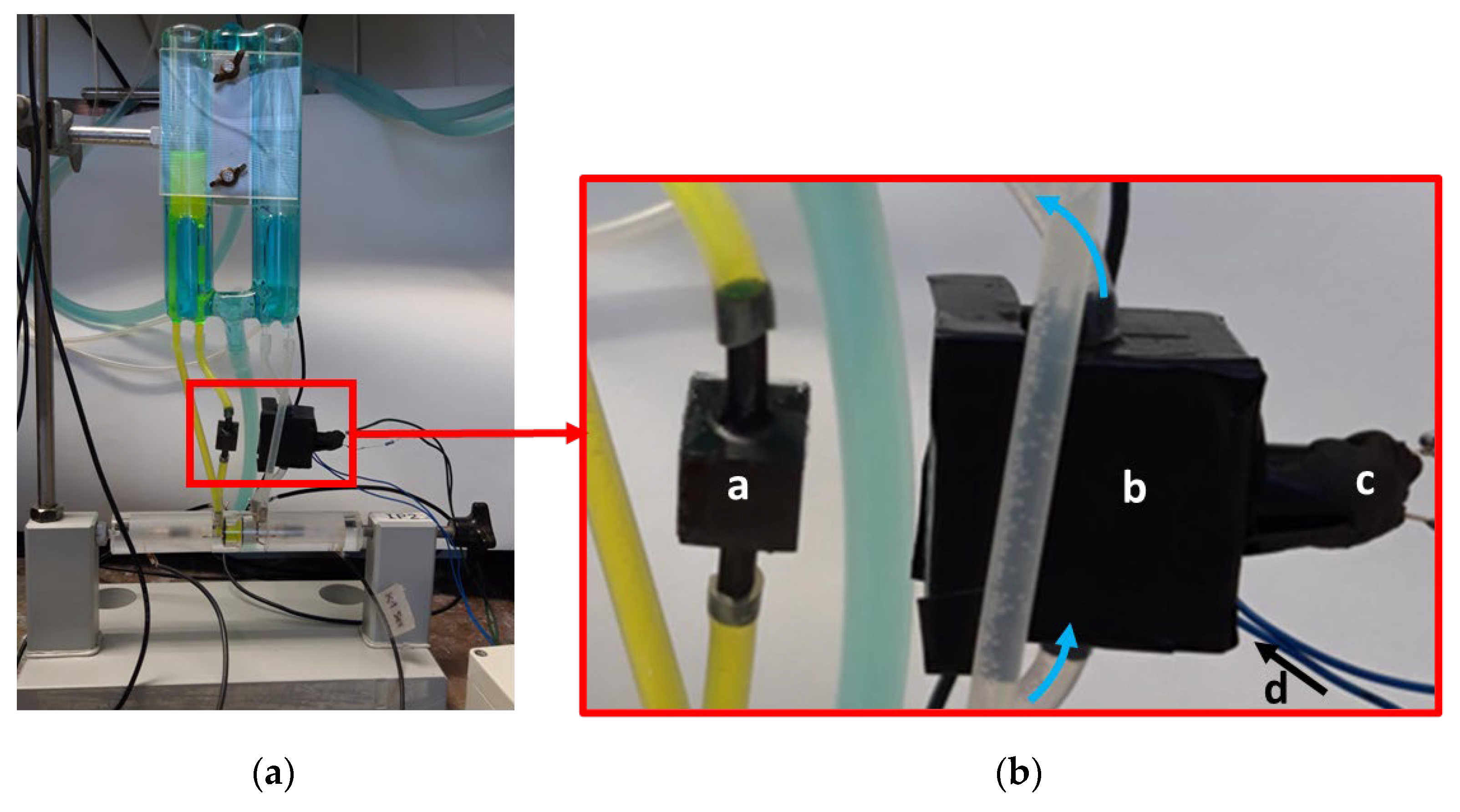 Ijms 25 02252 g008 Ijms 25 02252 g008