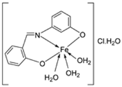 Ijms 25 02263 i018 Ijms 25 02263 i018