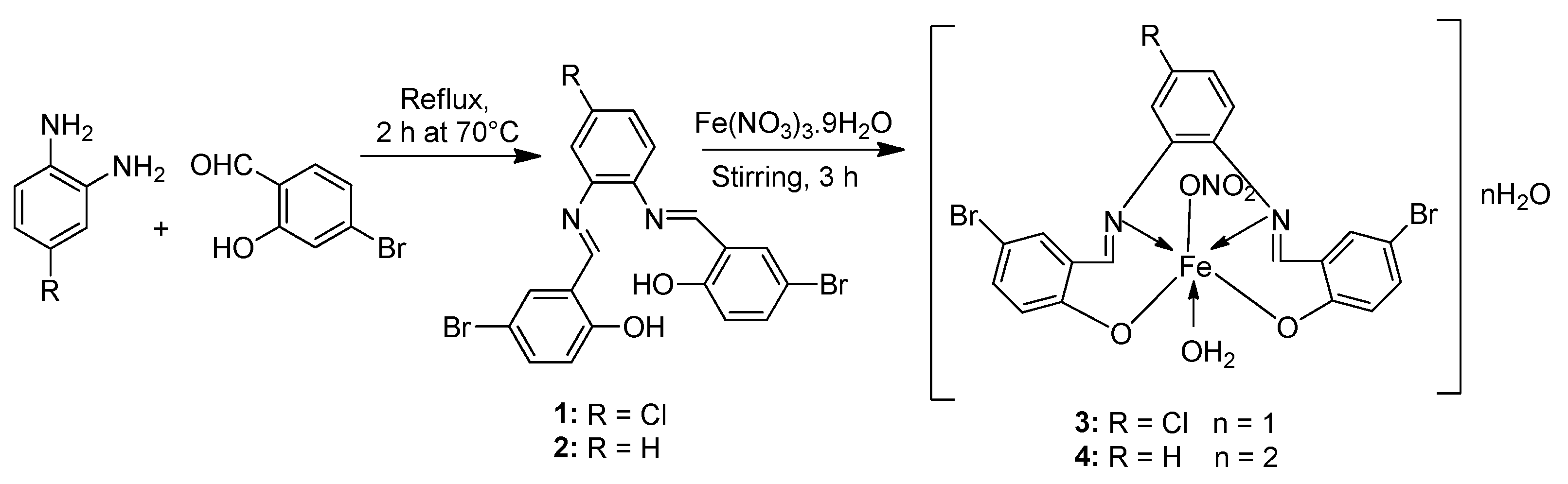 Ijms 25 02263 sch001 Ijms 25 02263 sch001