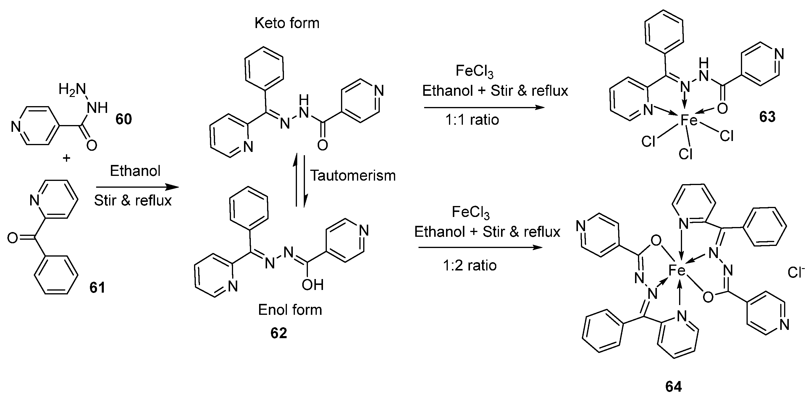Ijms 25 02263 sch011 Ijms 25 02263 sch011