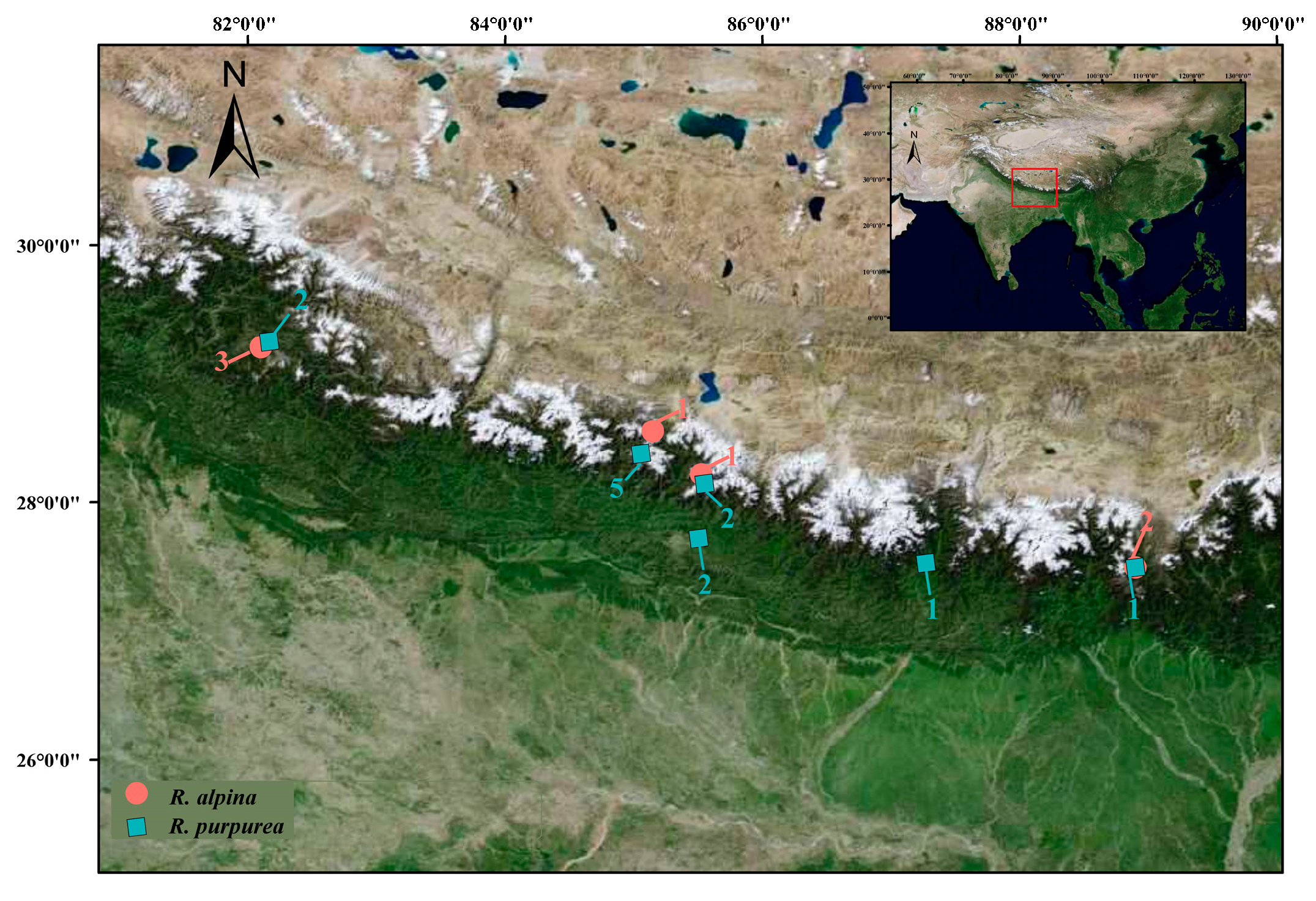 Ijms 25 02265 g005 Ijms 25 02265 g005