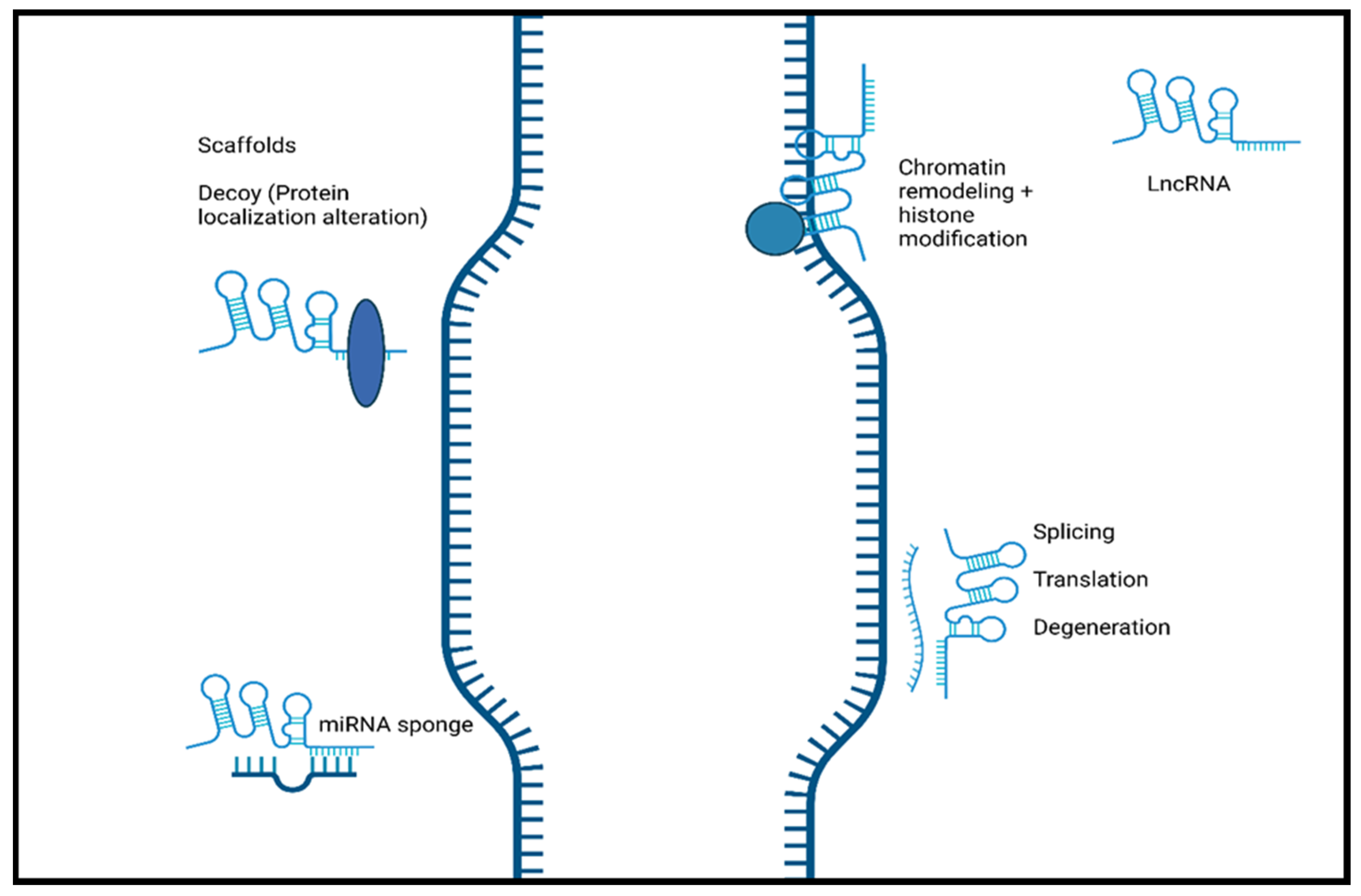 Ijms 25 02268 g002 Ijms 25 02268 g002