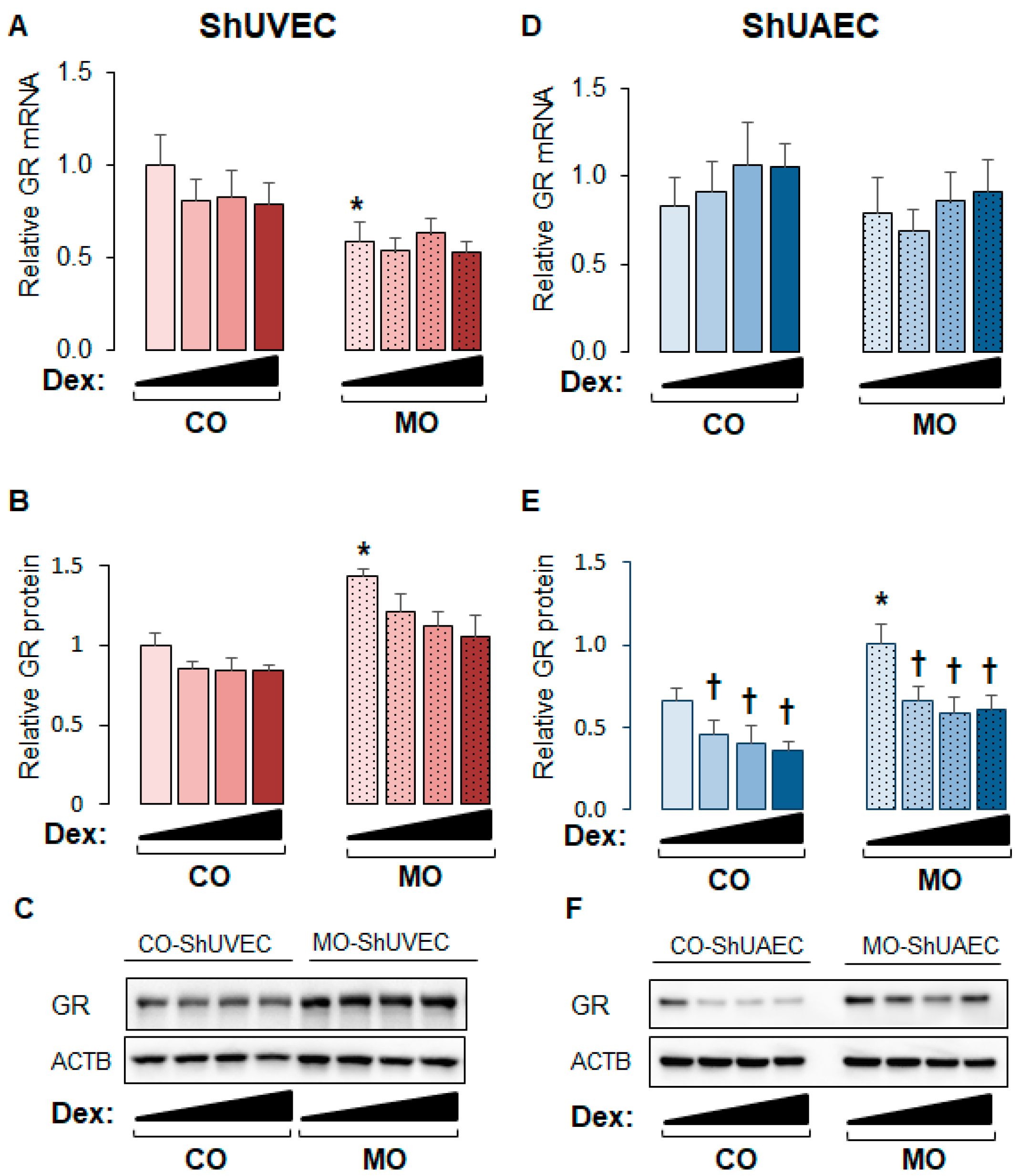 Ijms 25 02311 g001 Ijms 25 02311 g001