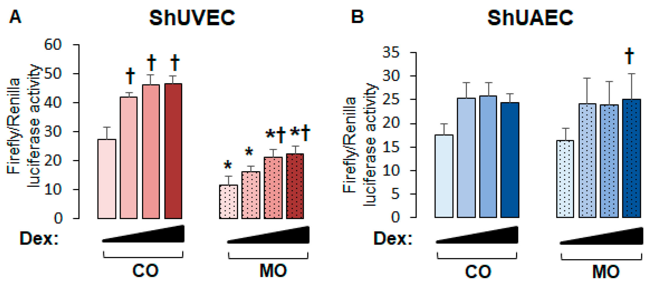 Ijms 25 02311 g003 Ijms 25 02311 g003