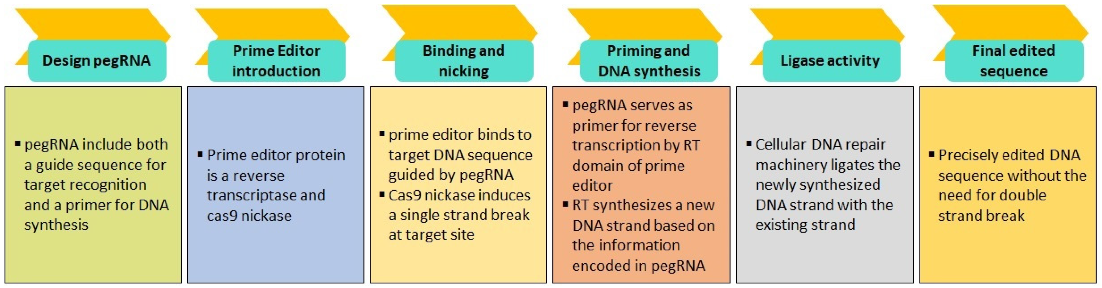 Ijms 25 02320 g007 Ijms 25 02320 g007