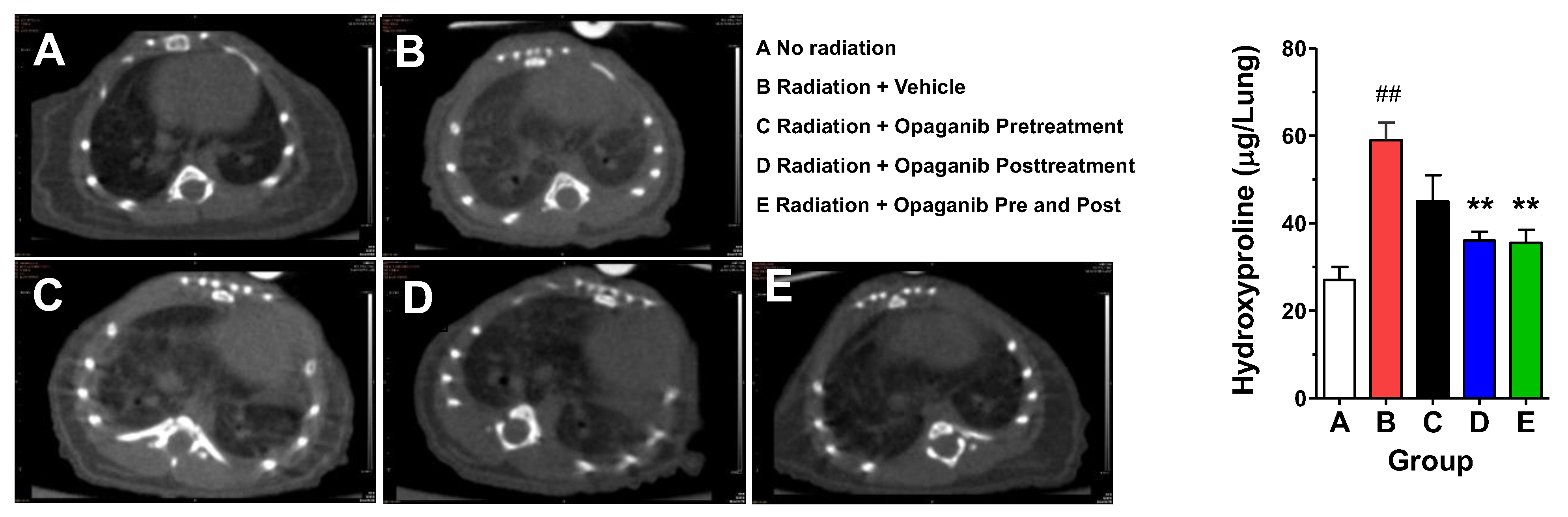 Ijms 25 02322 g003 Ijms 25 02322 g003