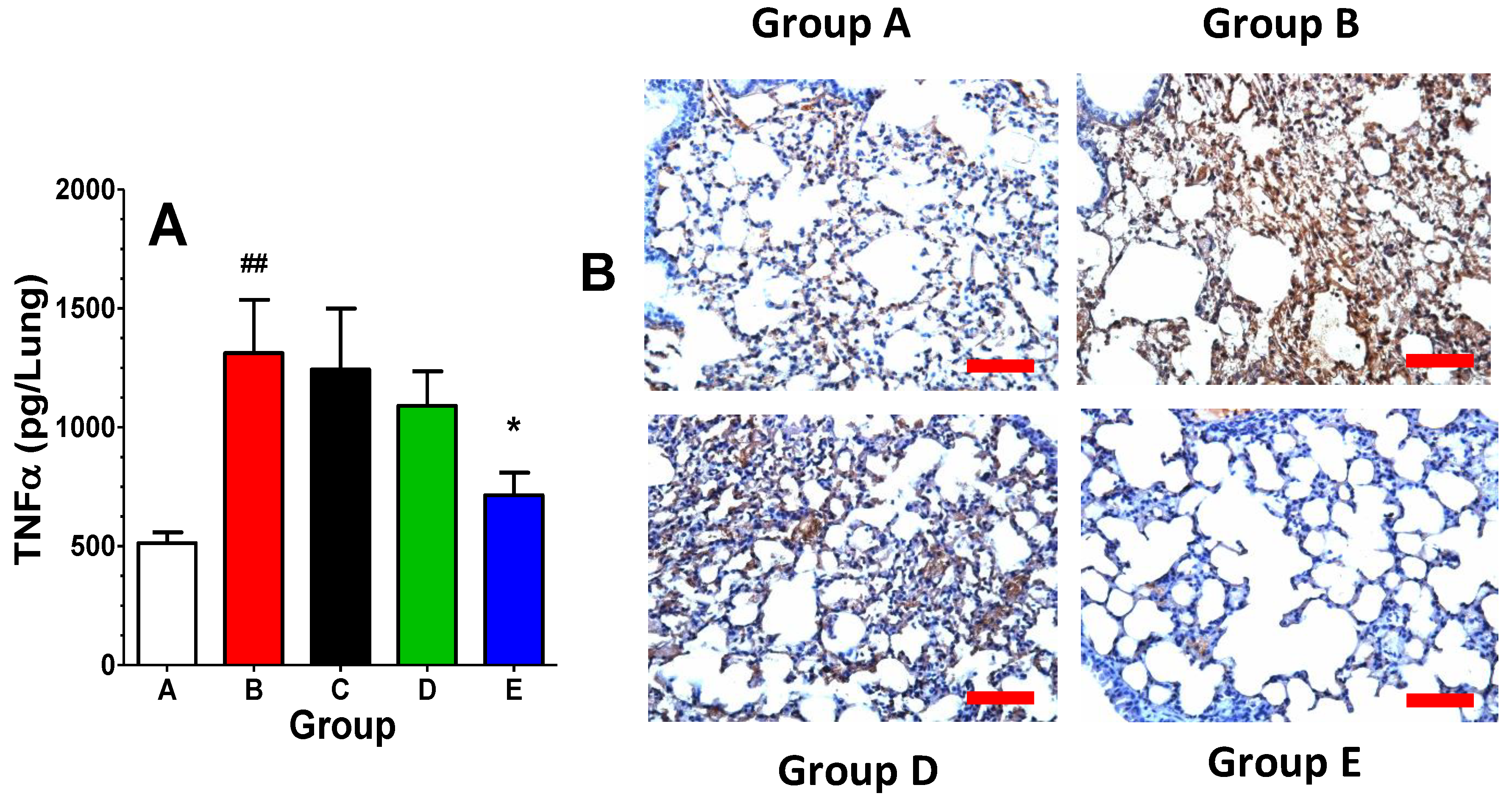 Ijms 25 02322 g004 Ijms 25 02322 g004