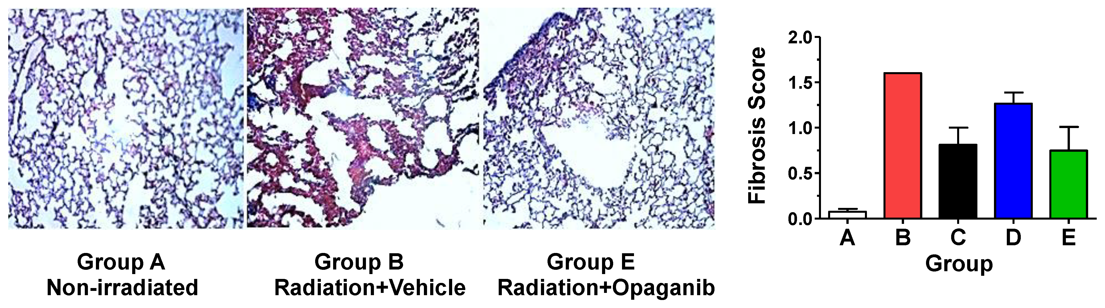Ijms 25 02322 g007 Ijms 25 02322 g007