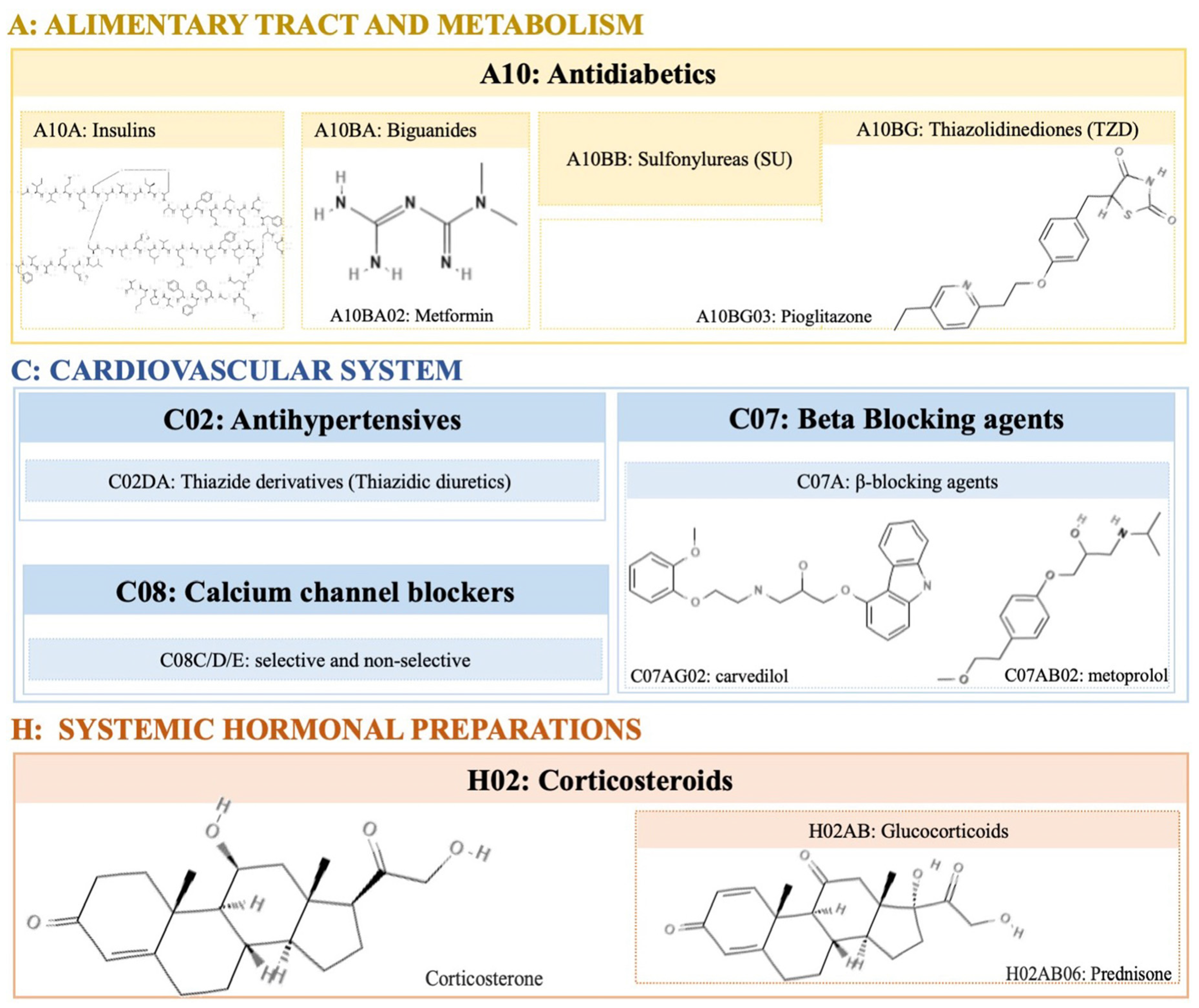 Ijms 25 02324 g001 Ijms 25 02324 g001