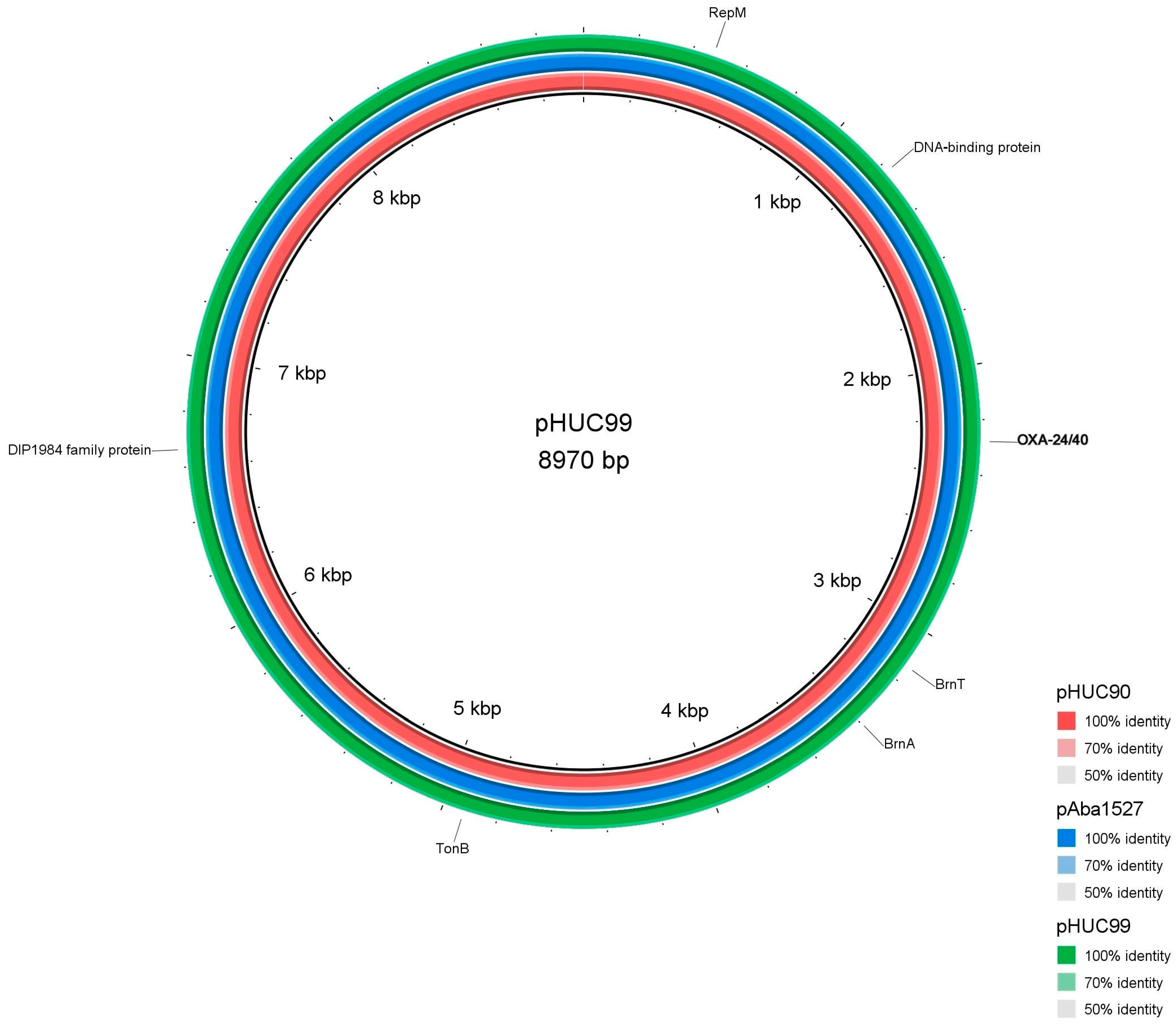 Ijms 25 02333 g002 Ijms 25 02333 g002