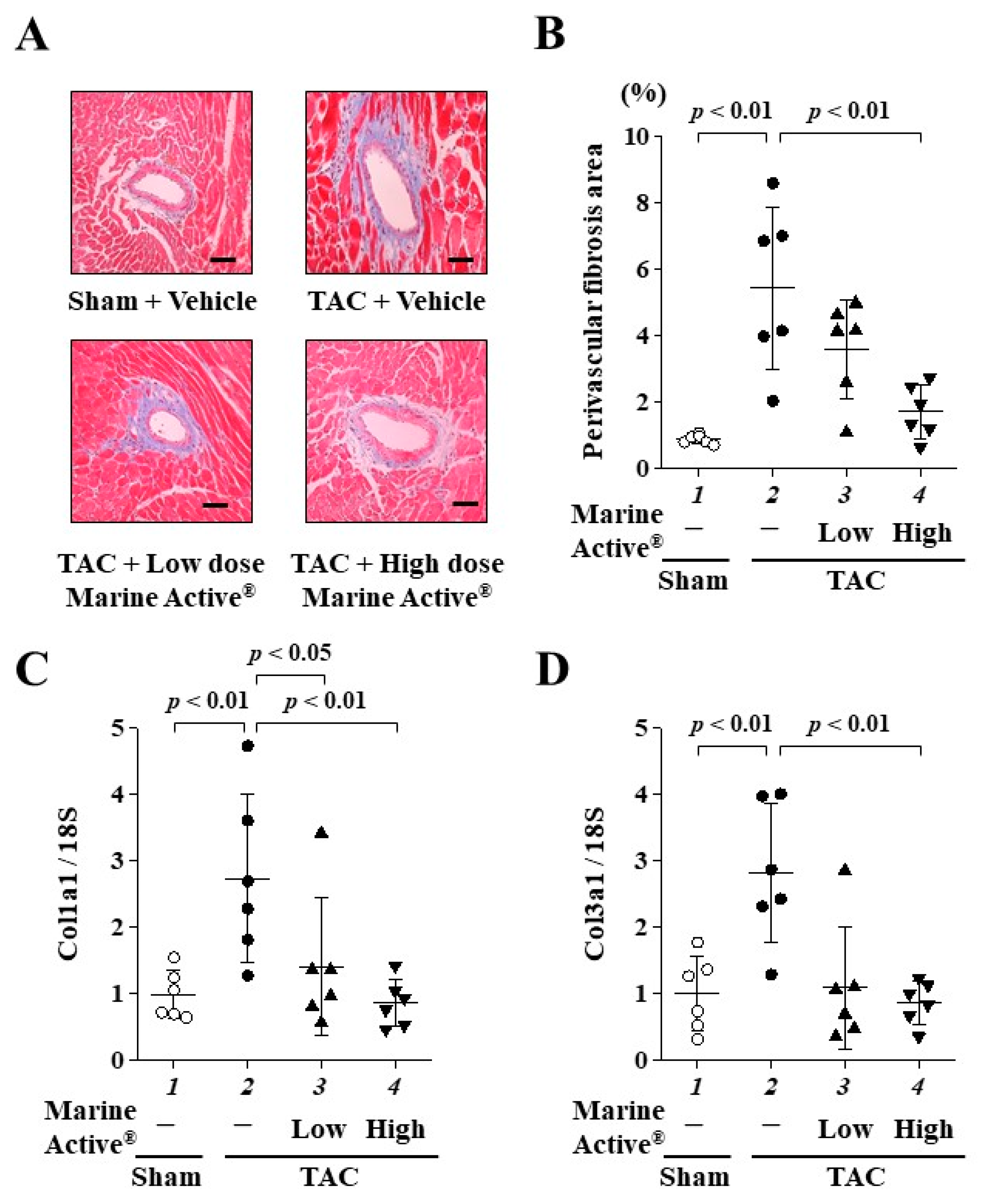Ijms 25 02344 g007 Ijms 25 02344 g007