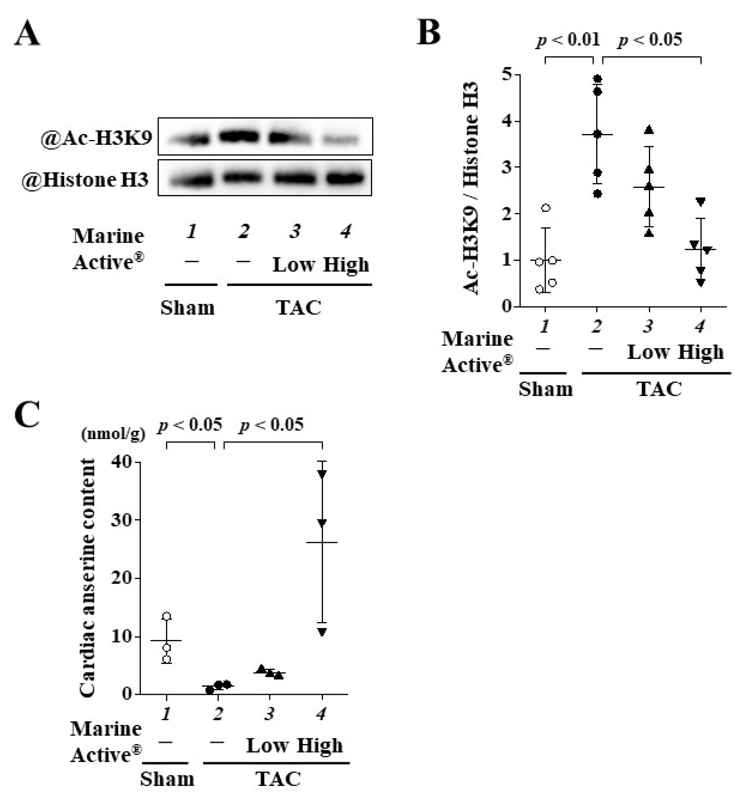 Ijms 25 02344 g008 Ijms 25 02344 g008