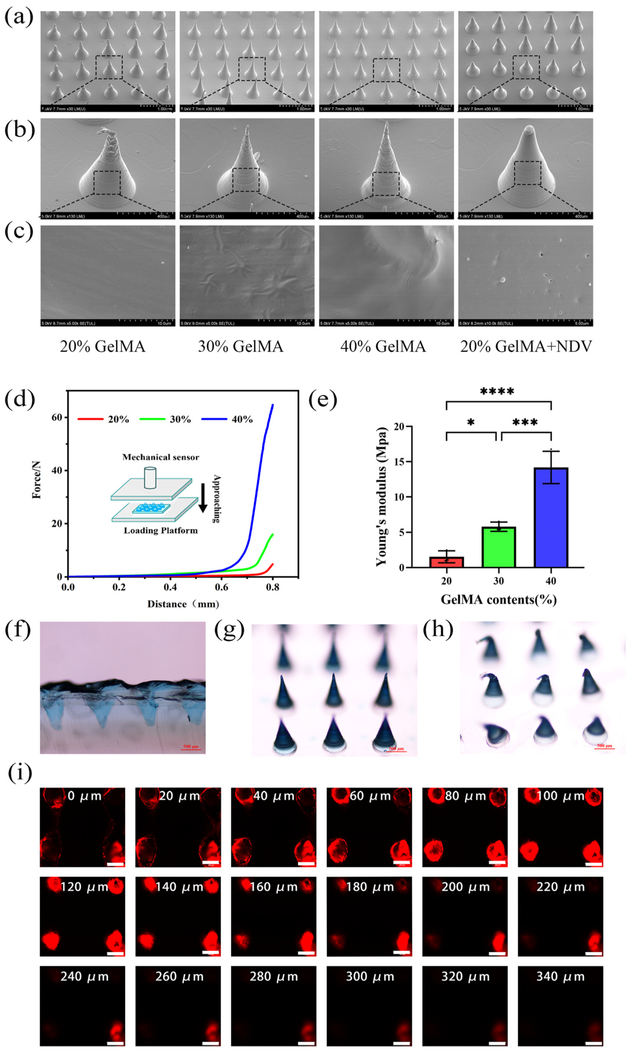 Ijms 25 02353 g005