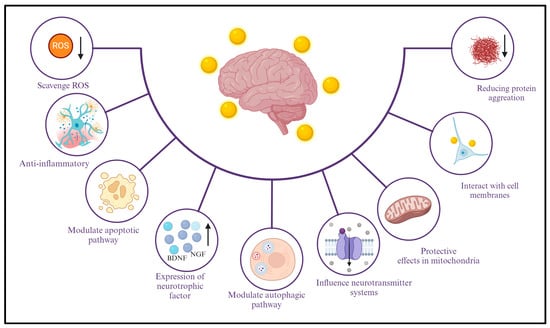 Gold Nanoparticles Can Remote Control the Brain, Smart News