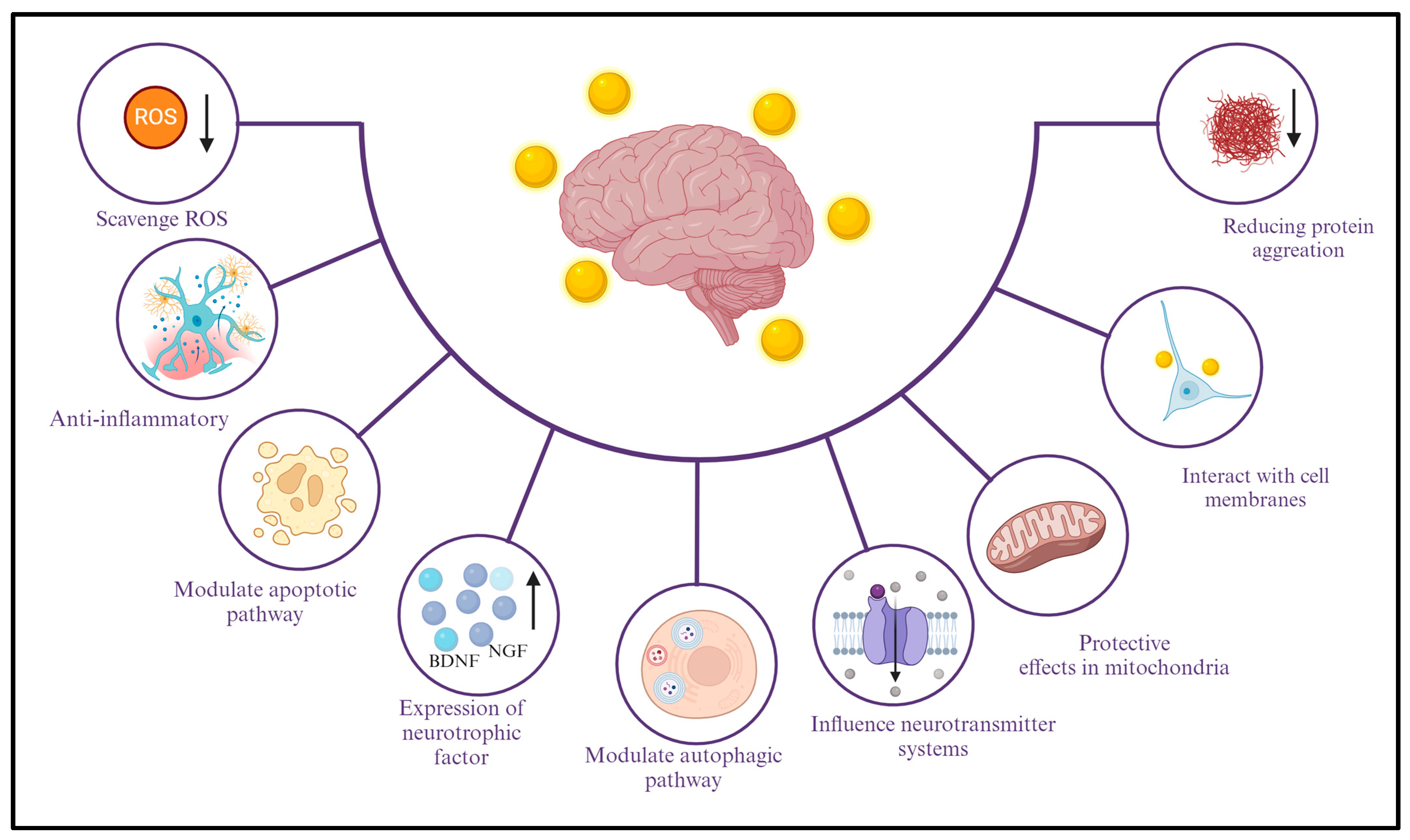 Gold Nanoparticles Can Remote Control the Brain